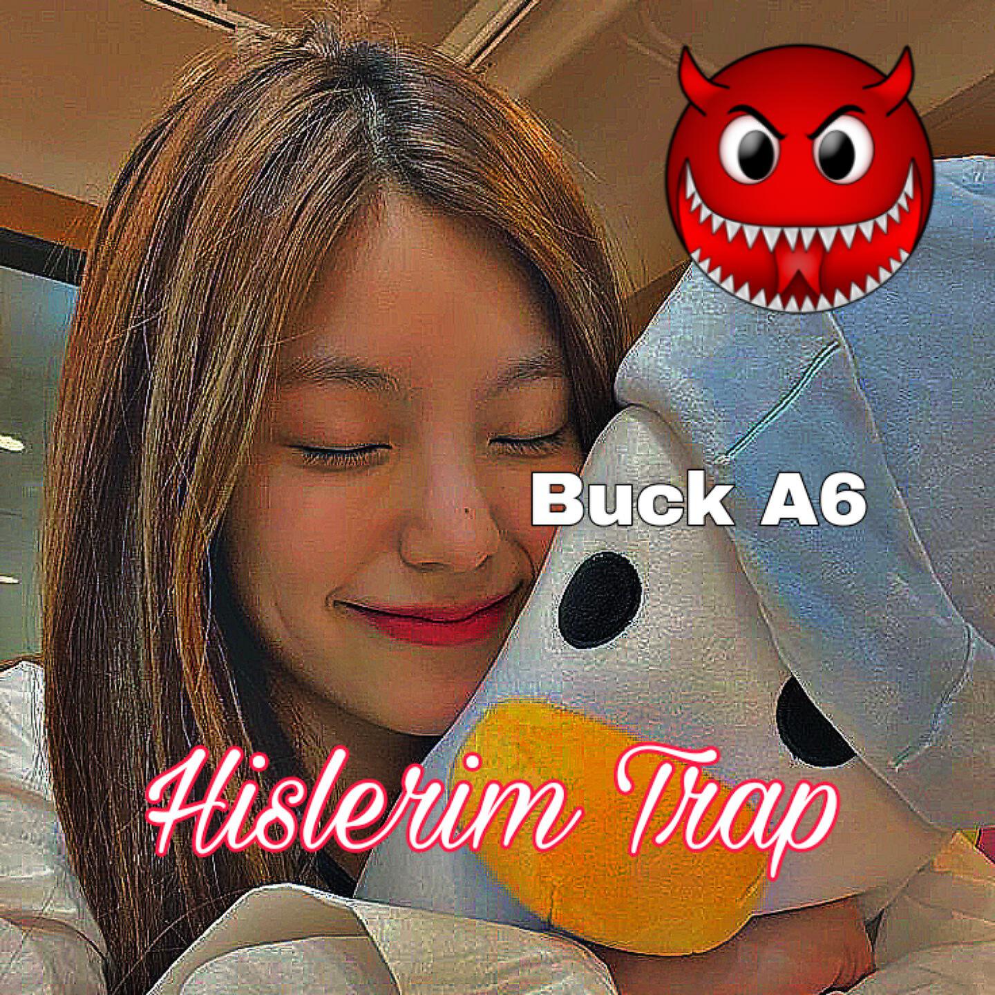 Постер альбома Hislerim Trap