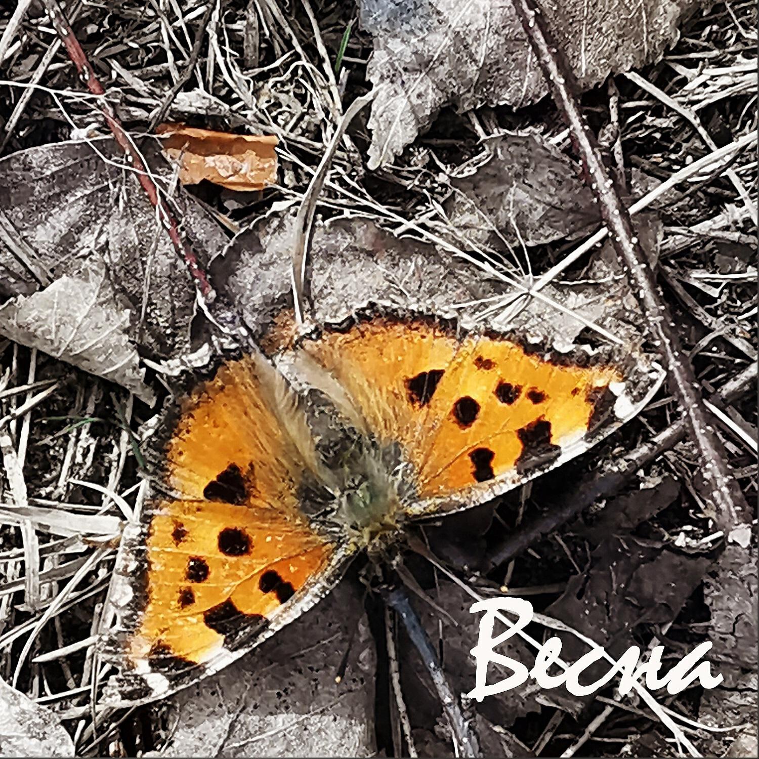 Релиз Весна