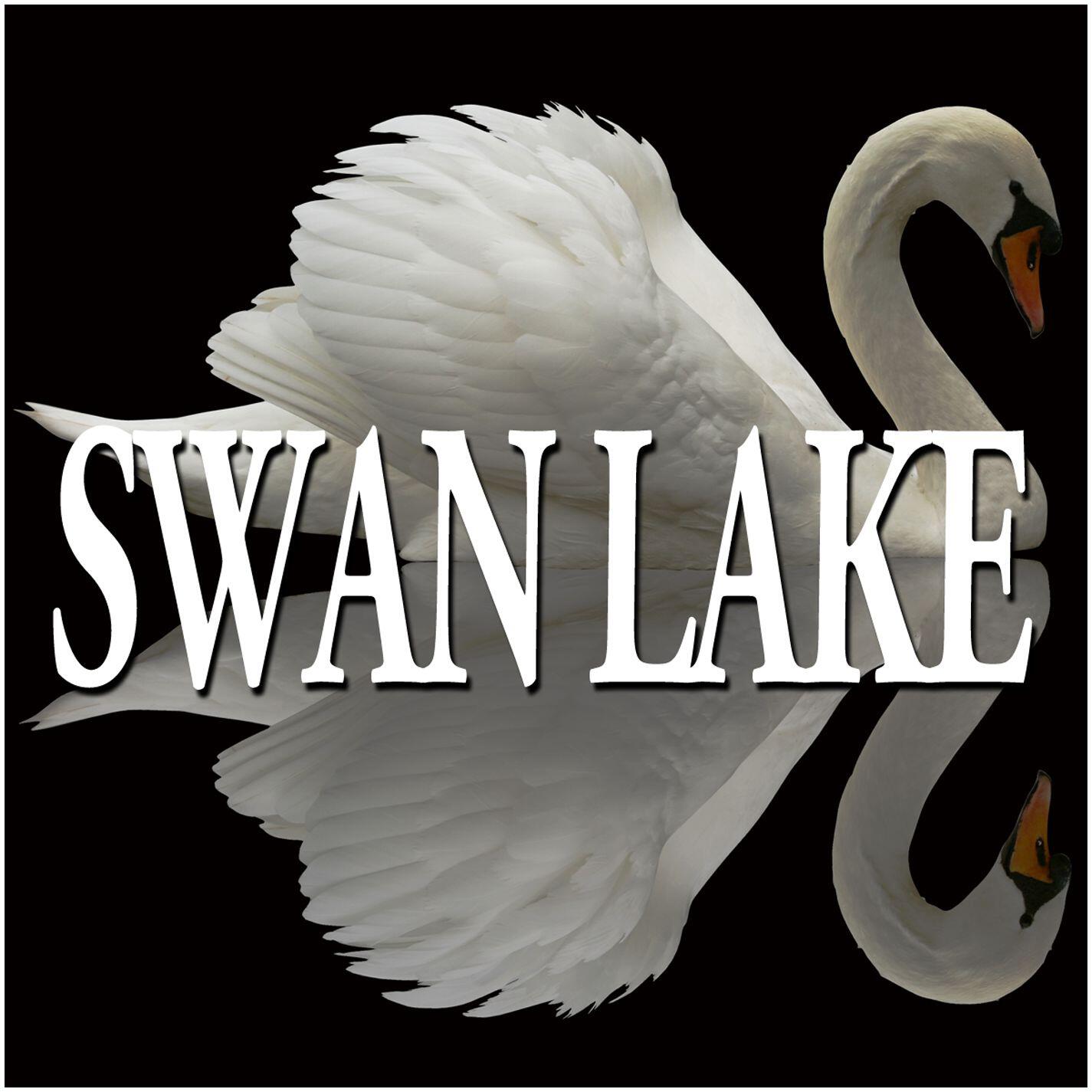 Релиз Tchaikovsky: Suites from Swan Lake, Op. 20a & The Sleeping Beauty, Op. 66a