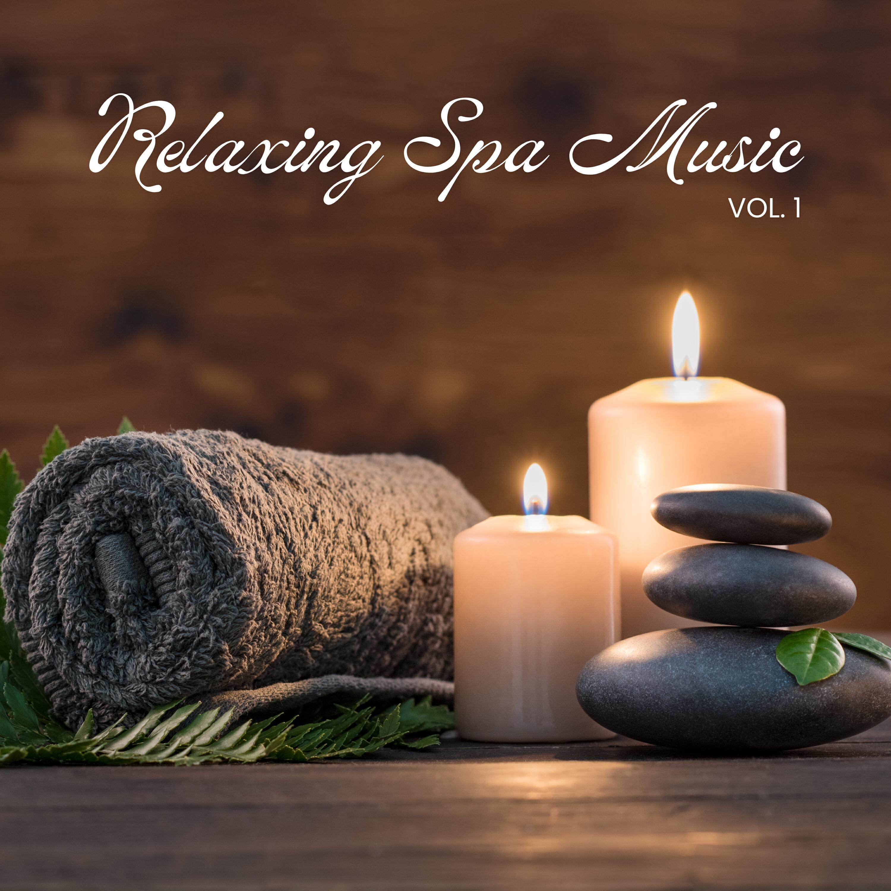 Релиз Relaxing Spa Music, Vol. 1