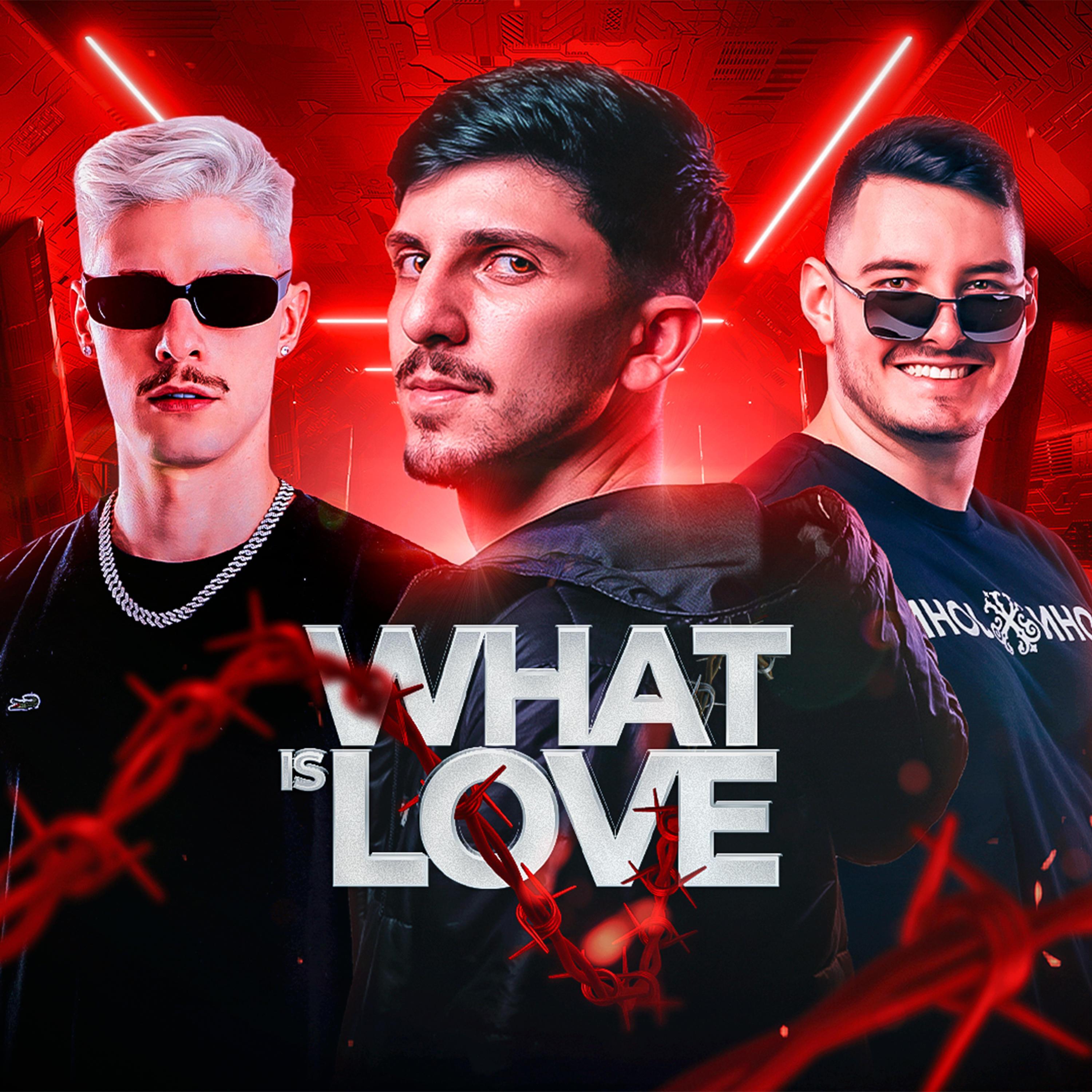 Релиз MEGA WHAT IS LOVE