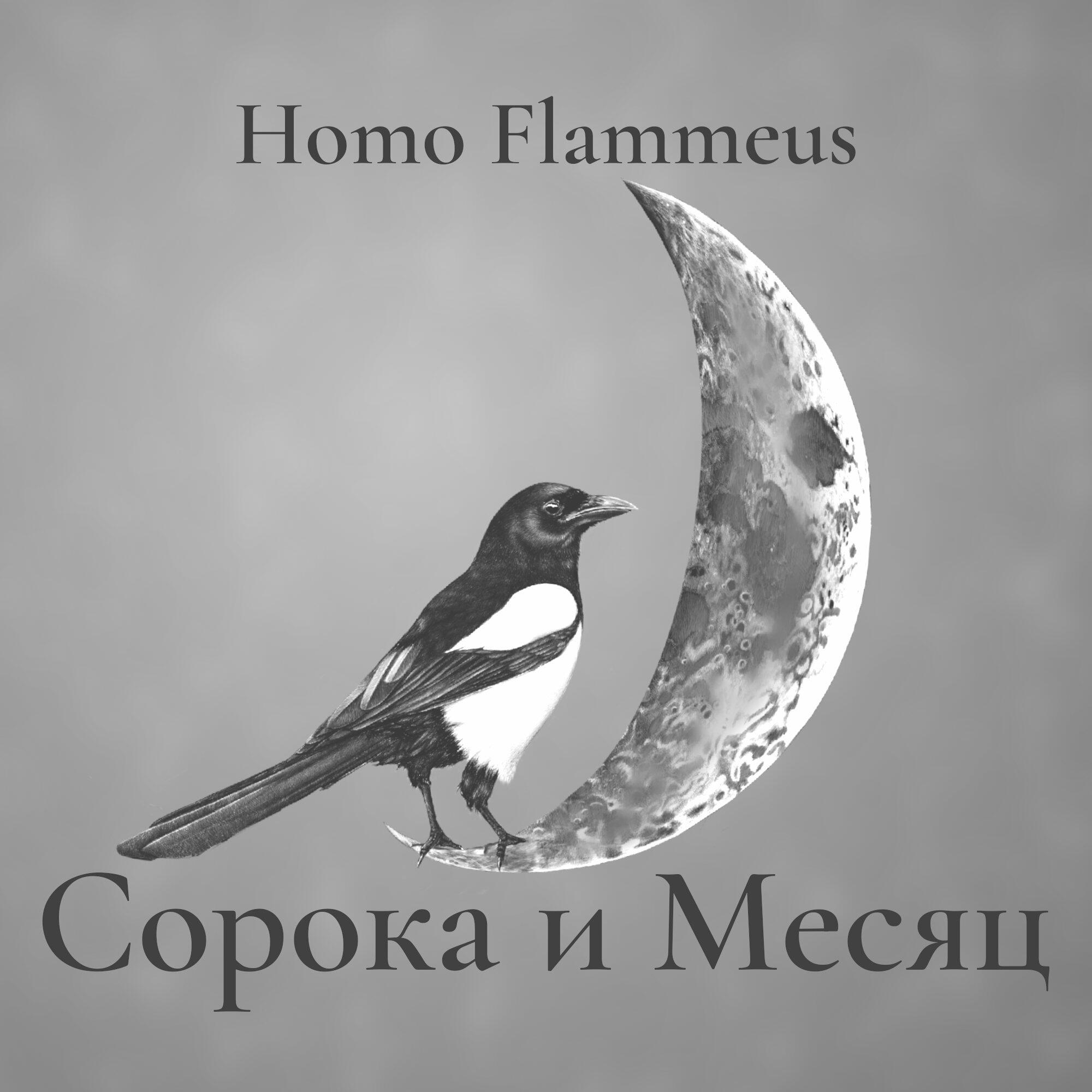 Релиз Сорока и Месяц