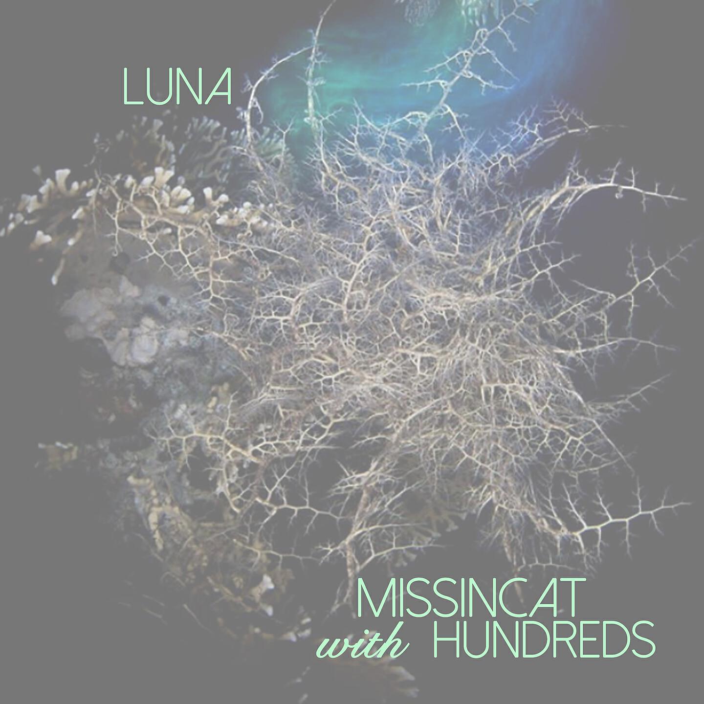 Постер альбома Luna
