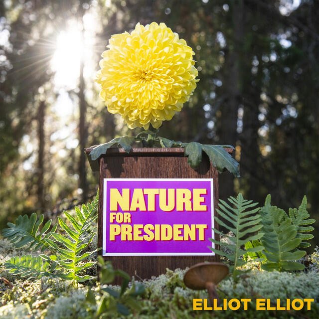 Релиз Nature for President