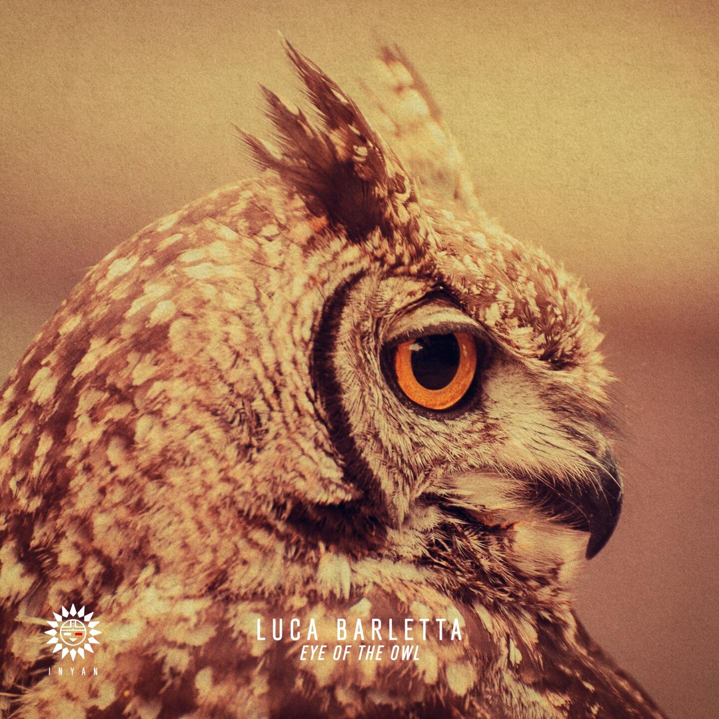 Релиз Eye Of The Owl
