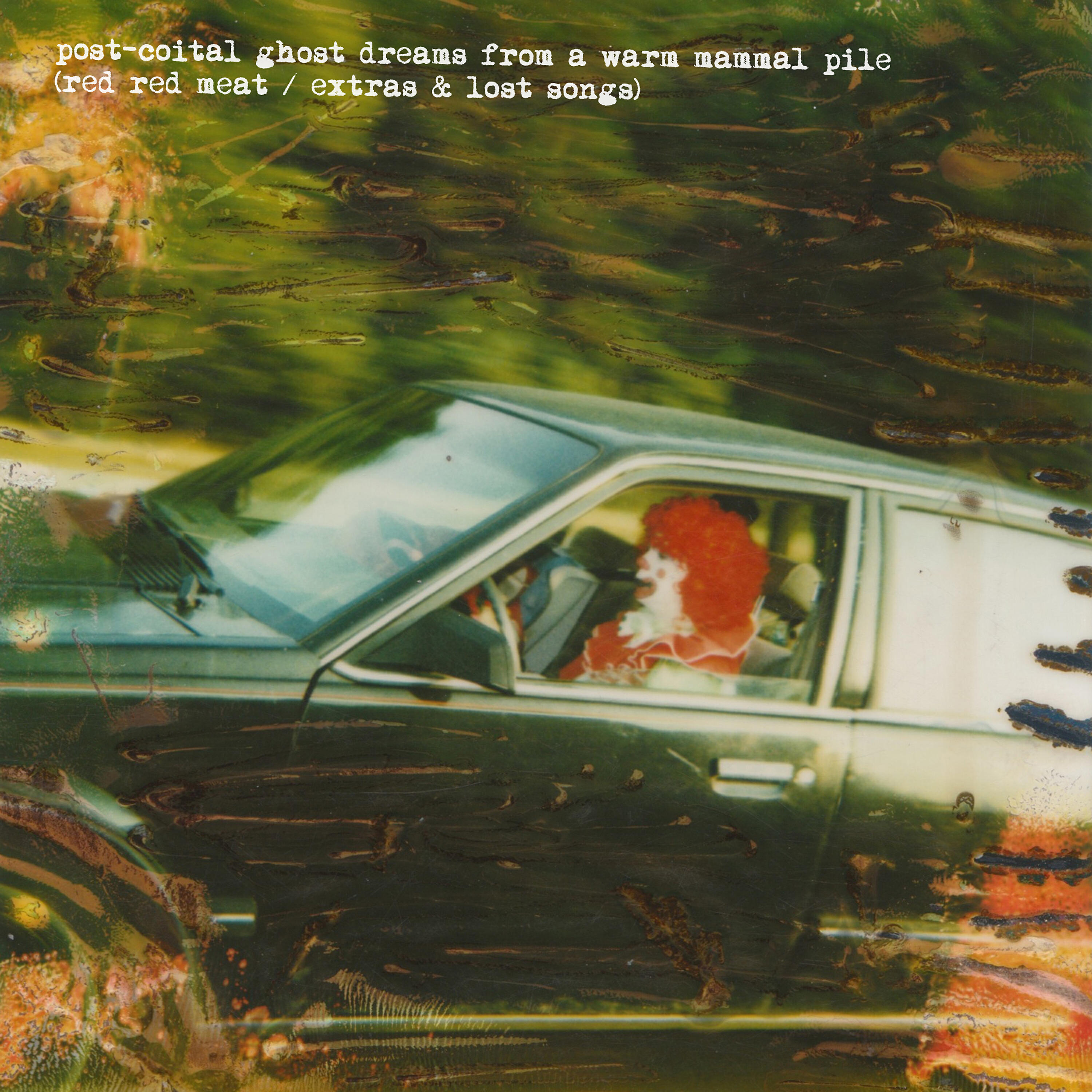 Релиз Post-Coital Ghost Dreams from a Warm Mammal Pile