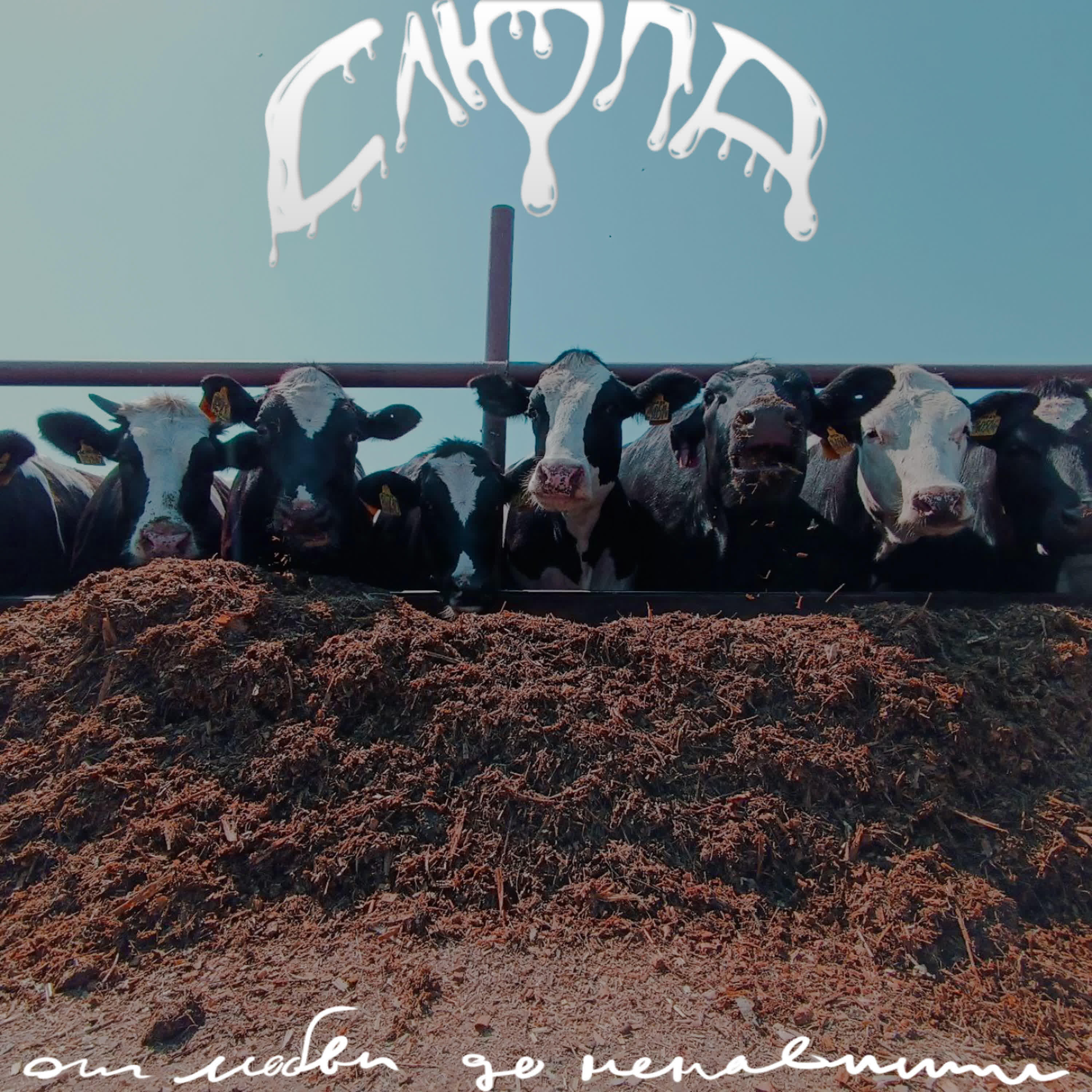 Слюпа