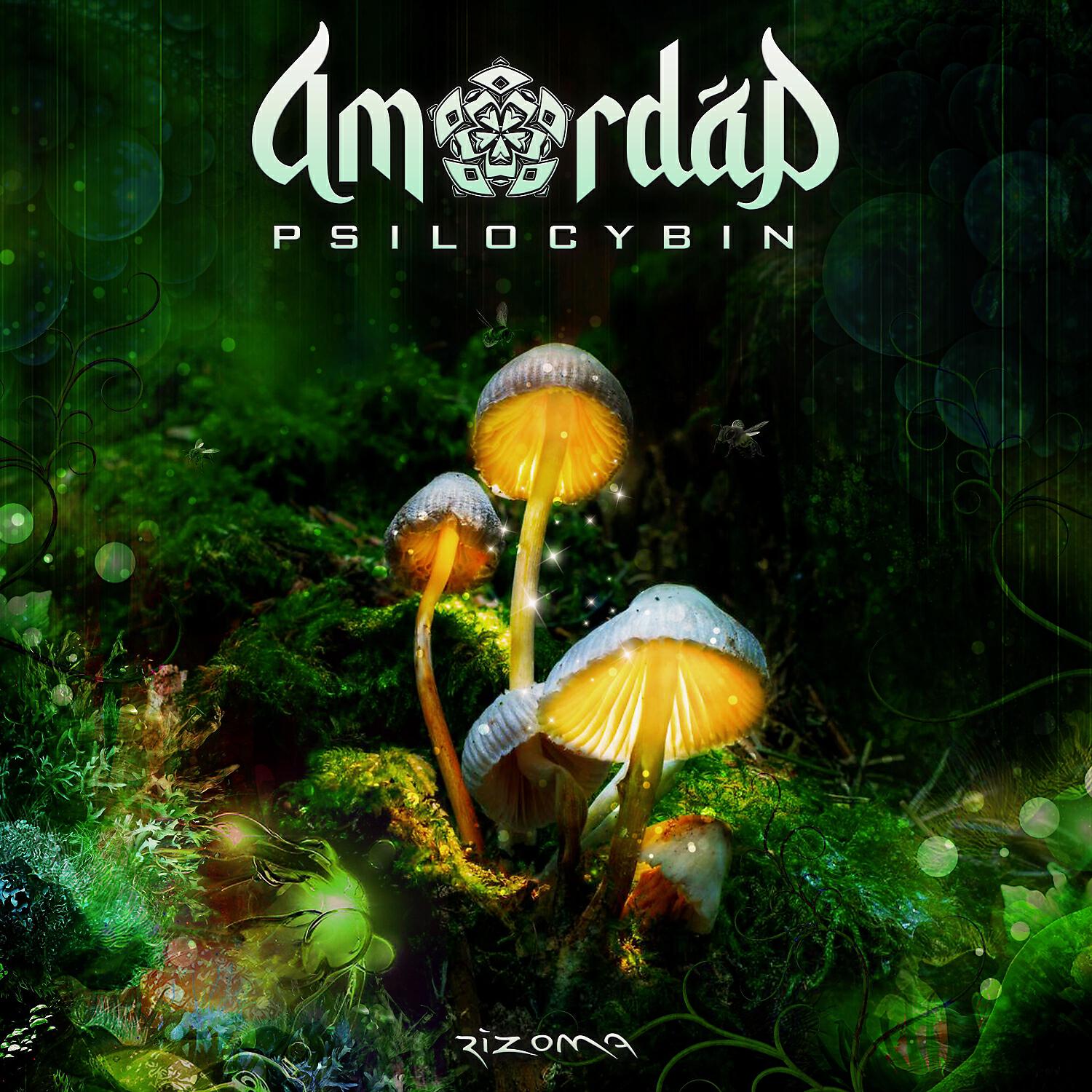 Релиз Psilocybin