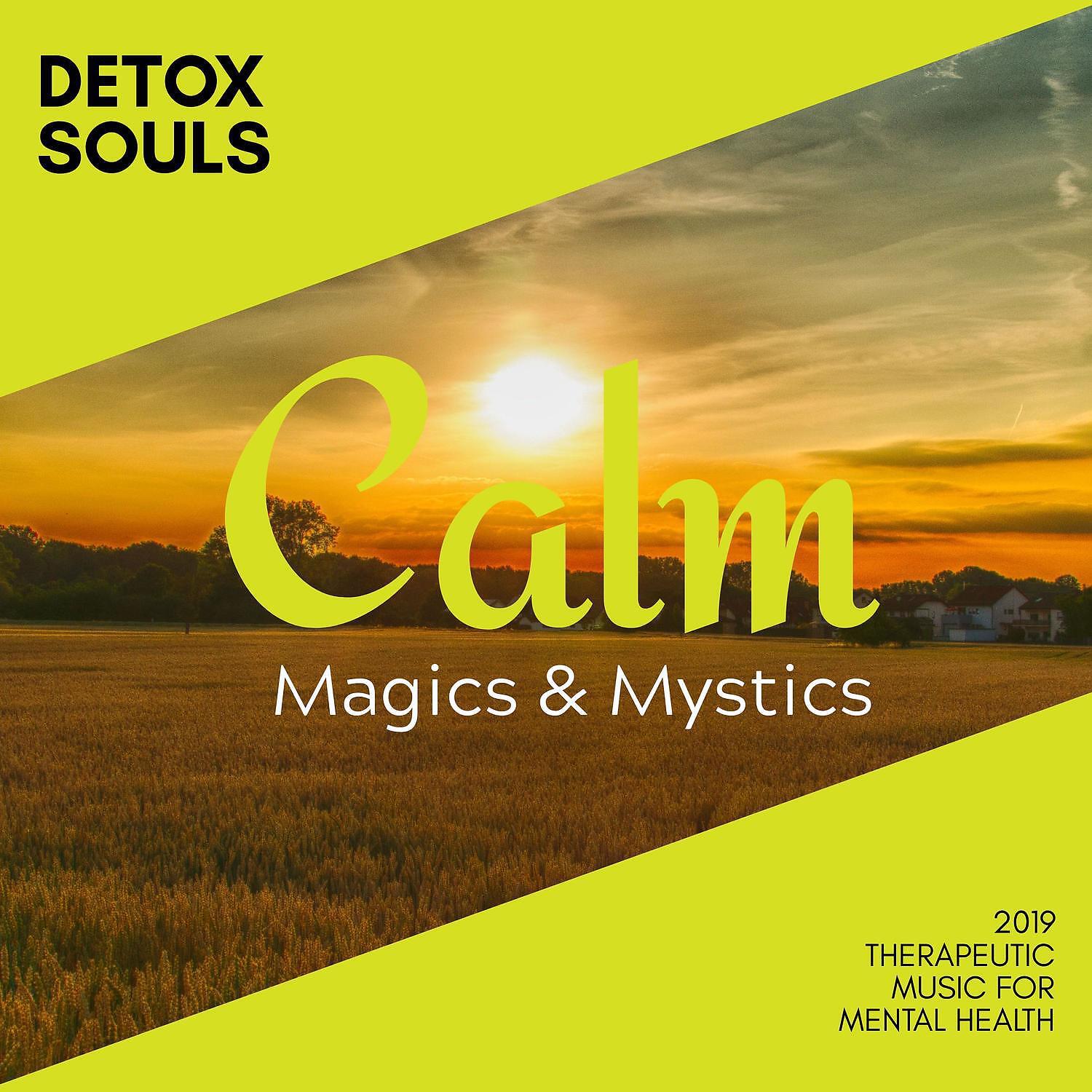 Релиз Detox Souls - 2019 Therapeutic Music for Mental Health
