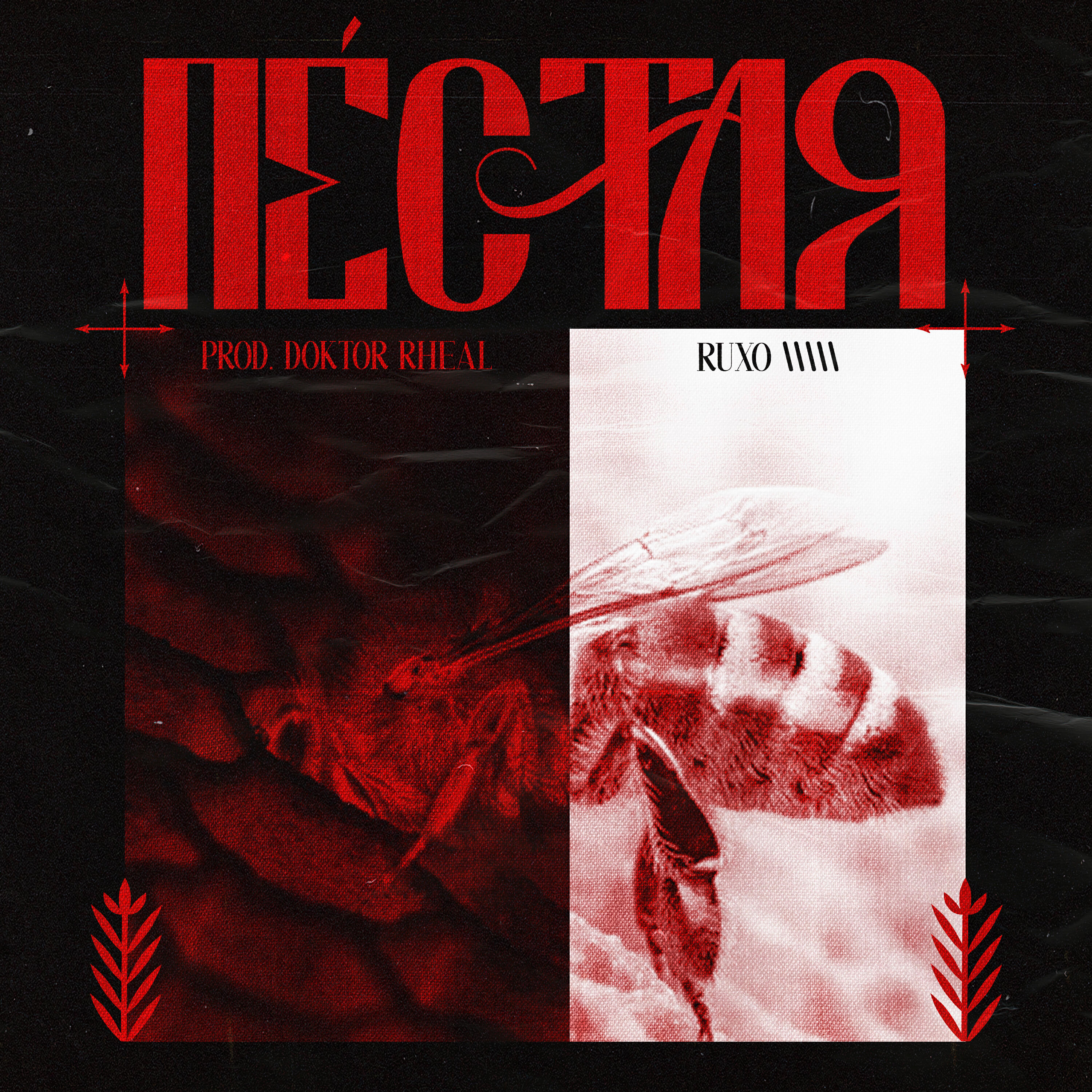 Релиз Néctar