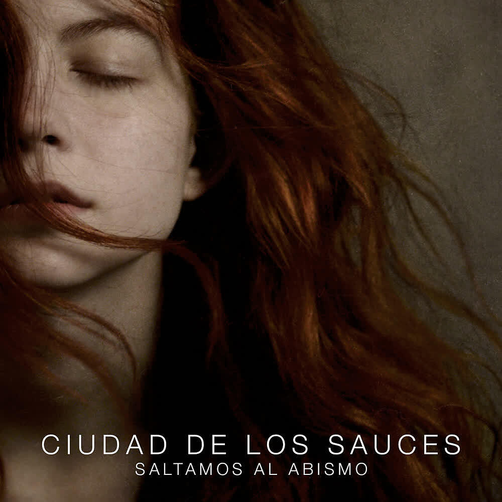 Ciudad de los Sauces