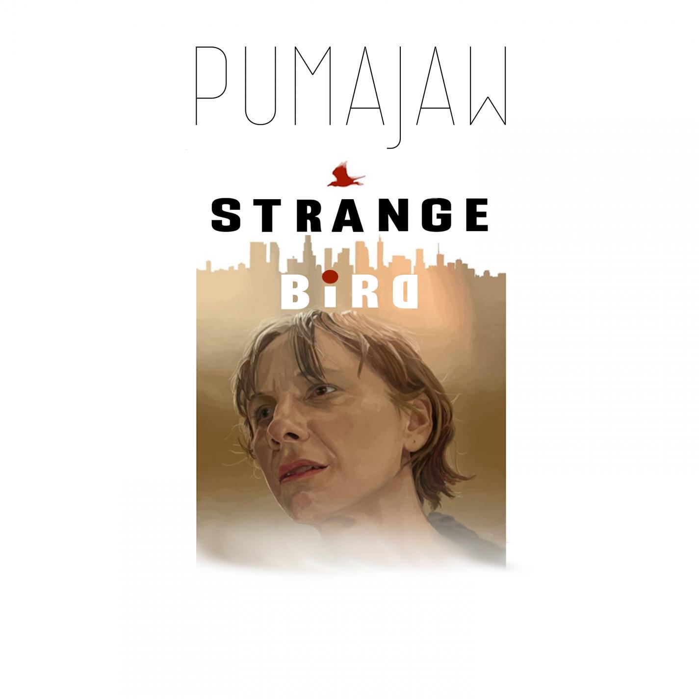 Релиз Strange Bird (Original Motion Picture Soundtrack)