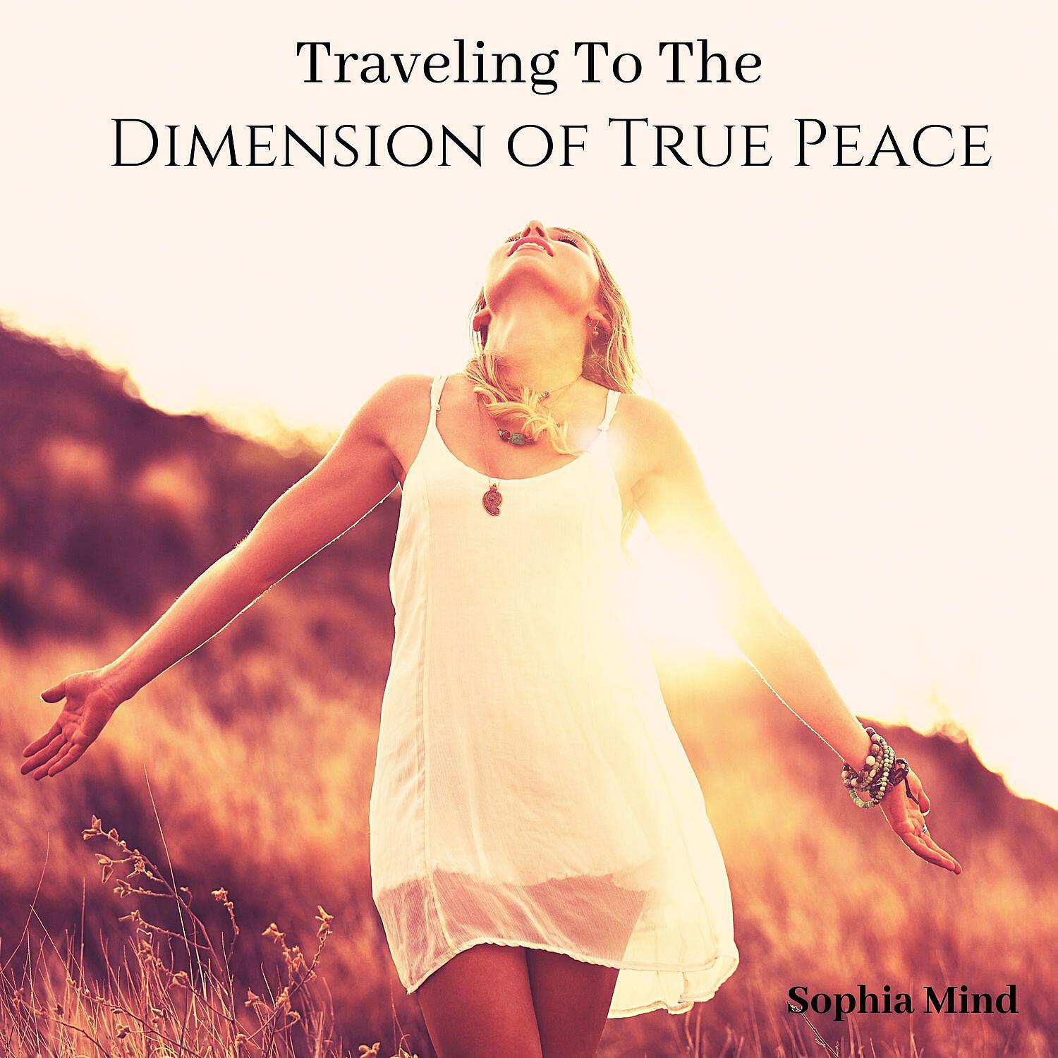 Релиз Traveling to the Dimension of True Peace