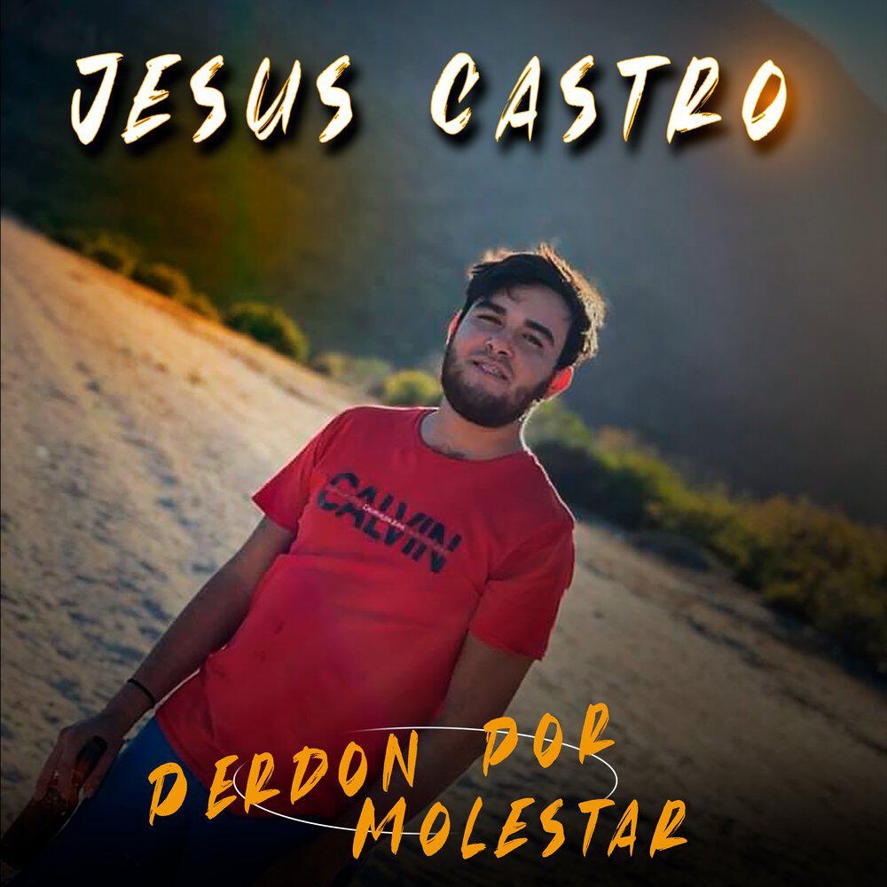 Трек Perdon Por Molestar