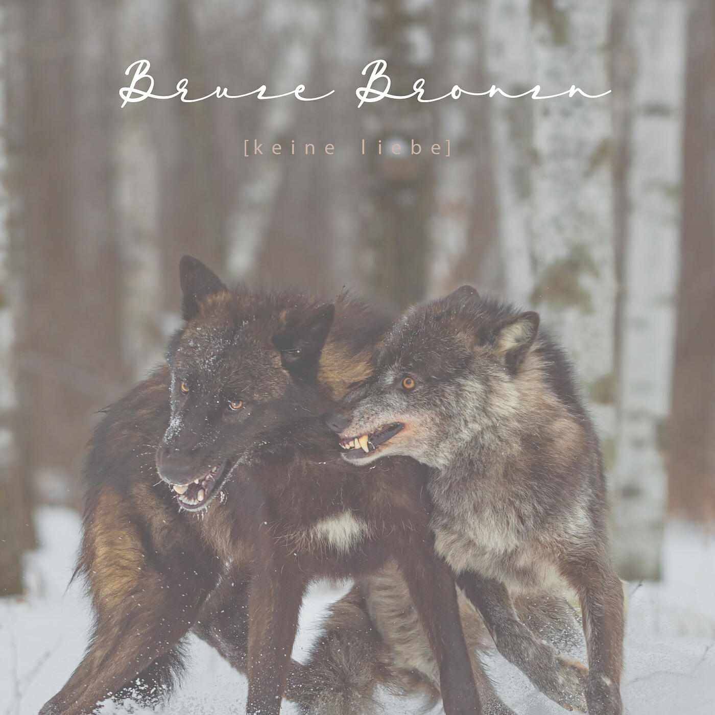 Релиз Keine Liebe