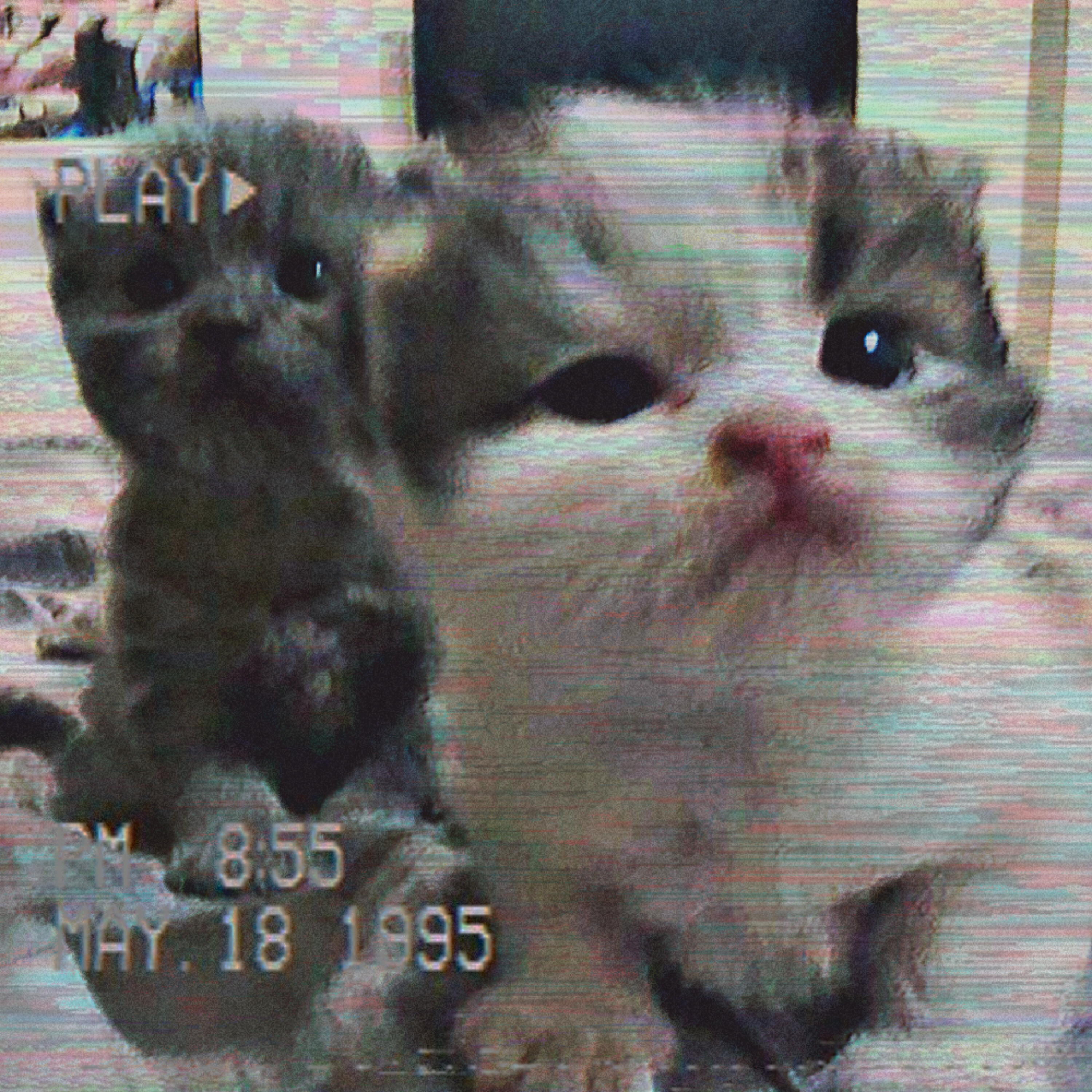 Обложка альбома