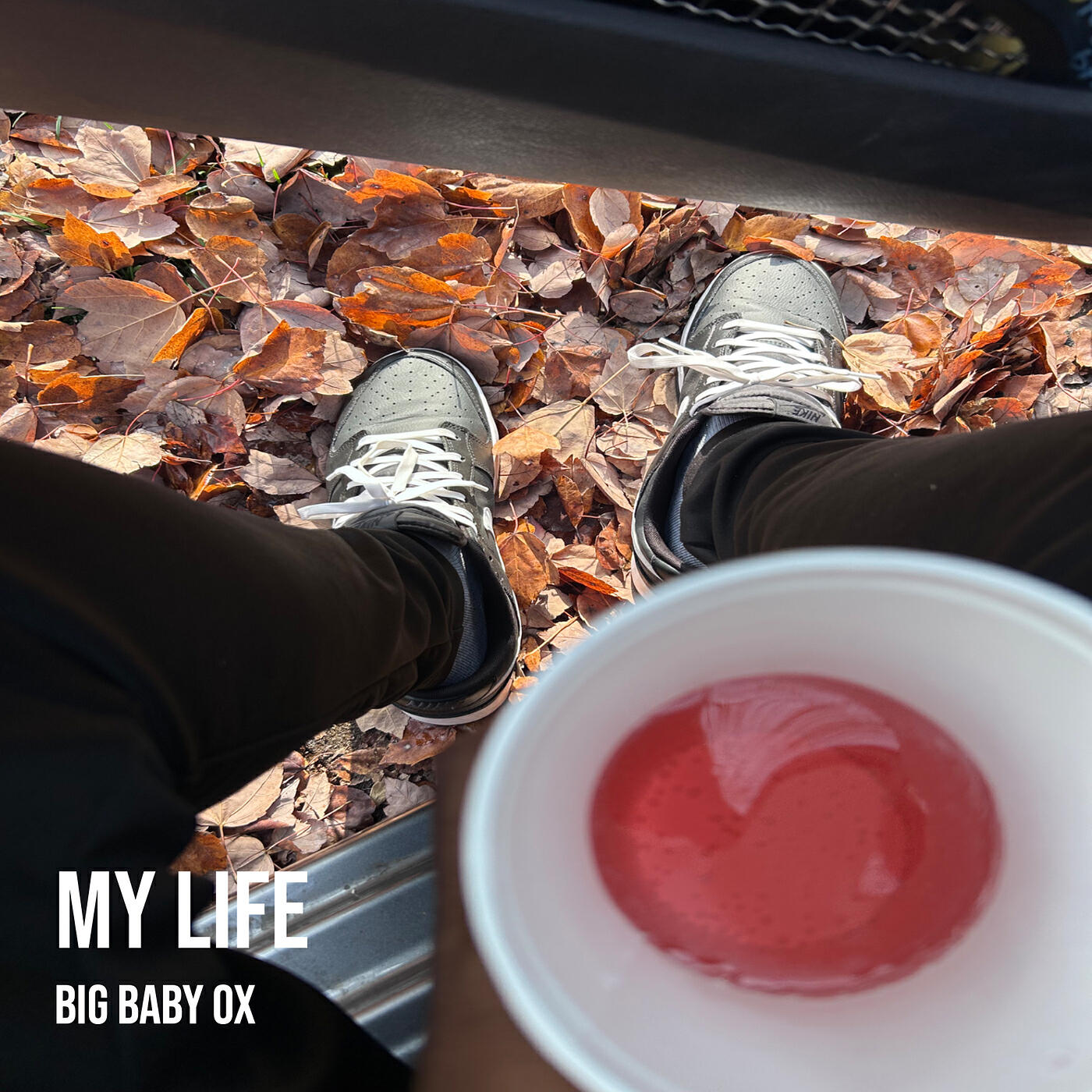 Релиз My Life