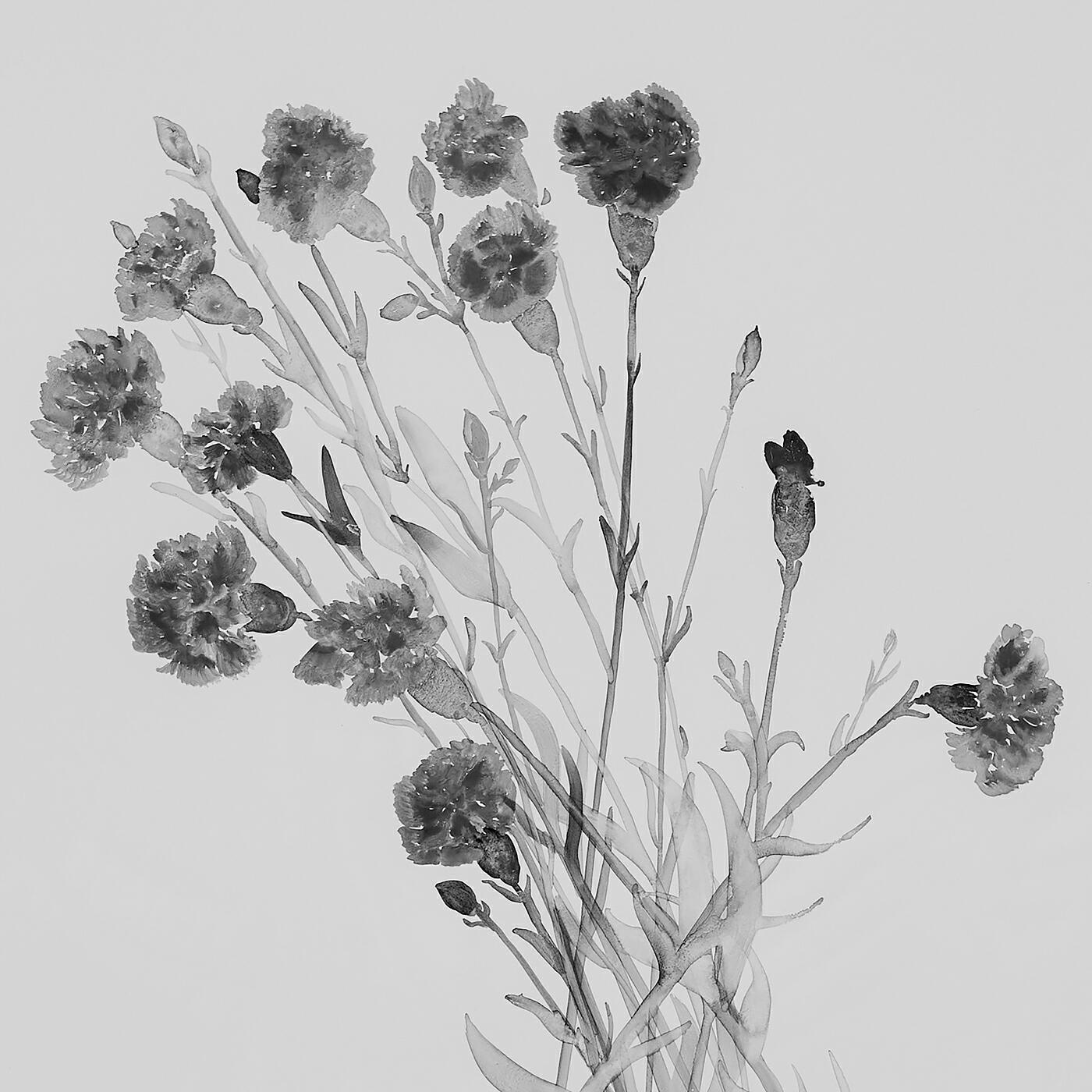 Релиз Twelve