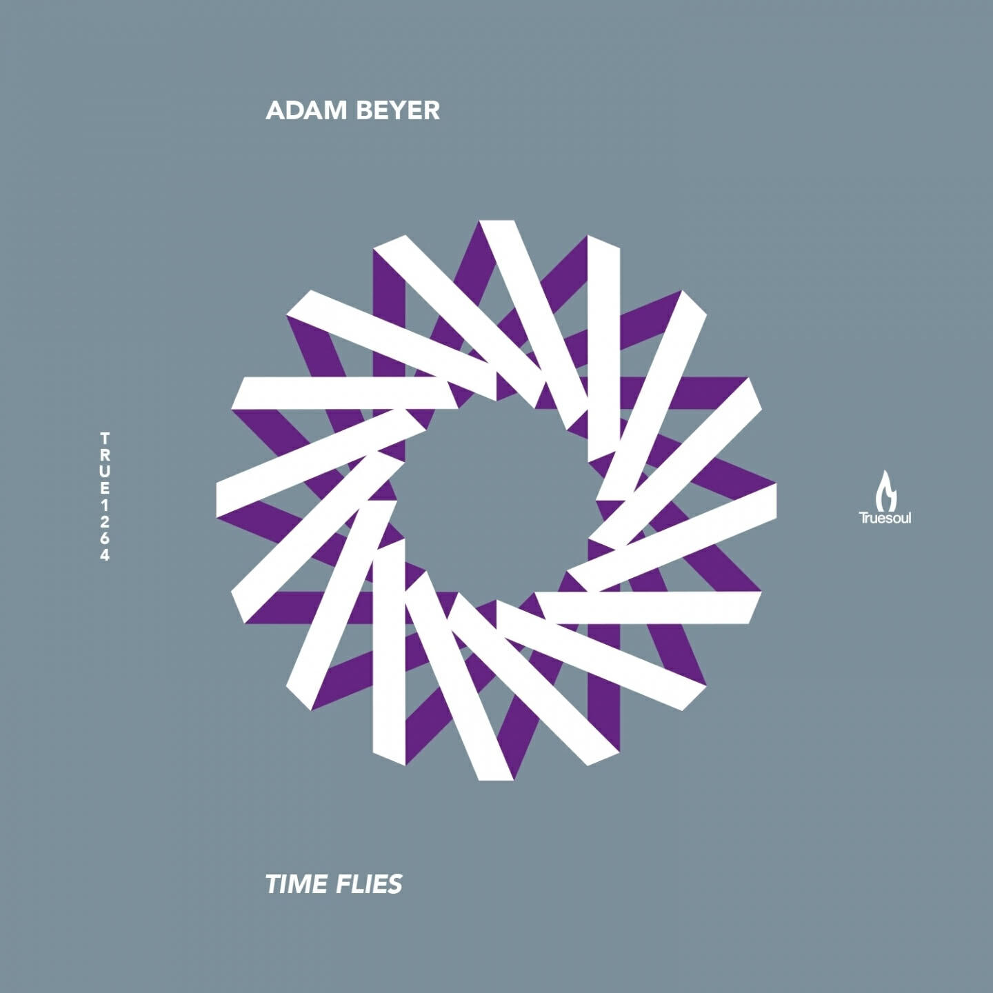 Релиз Time Flies