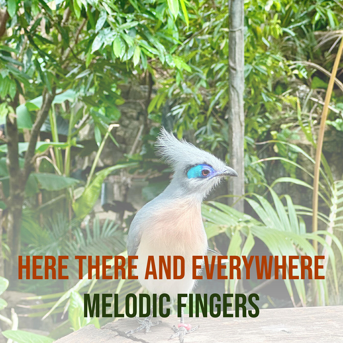 Релиз Here There and Everywhere