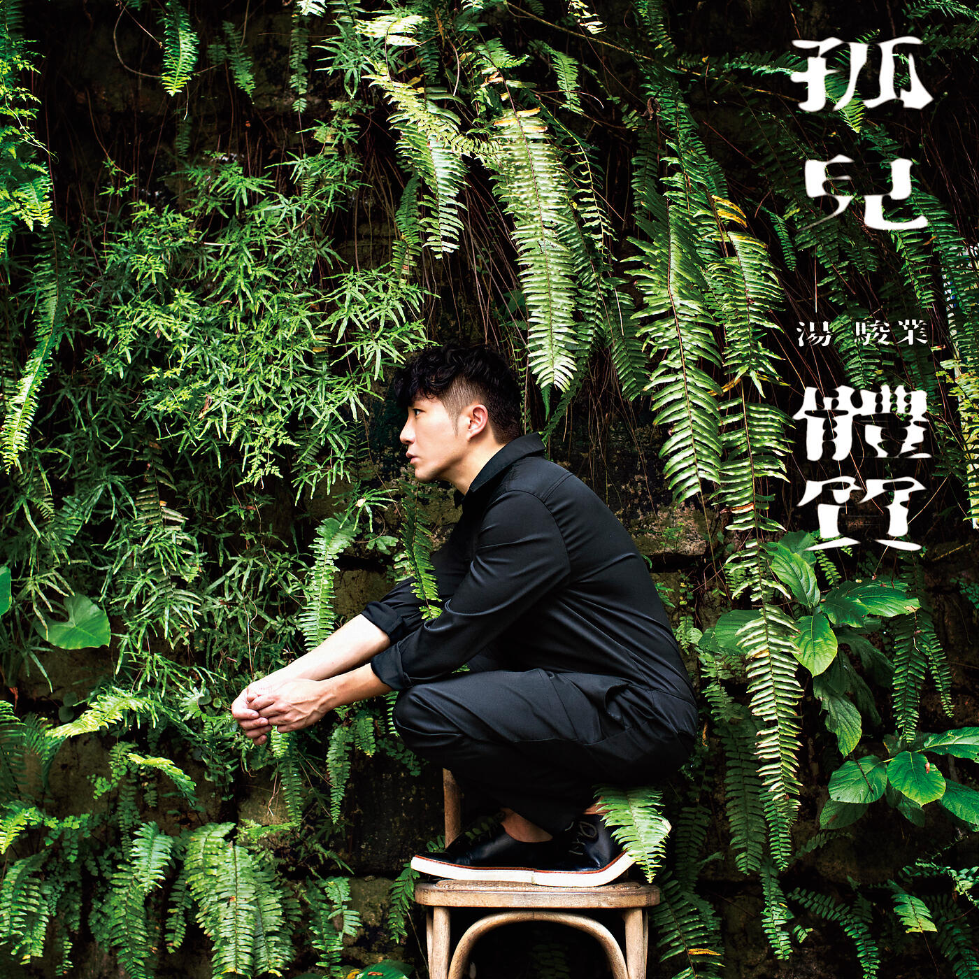 Релиз Gu Er Ti Zhi