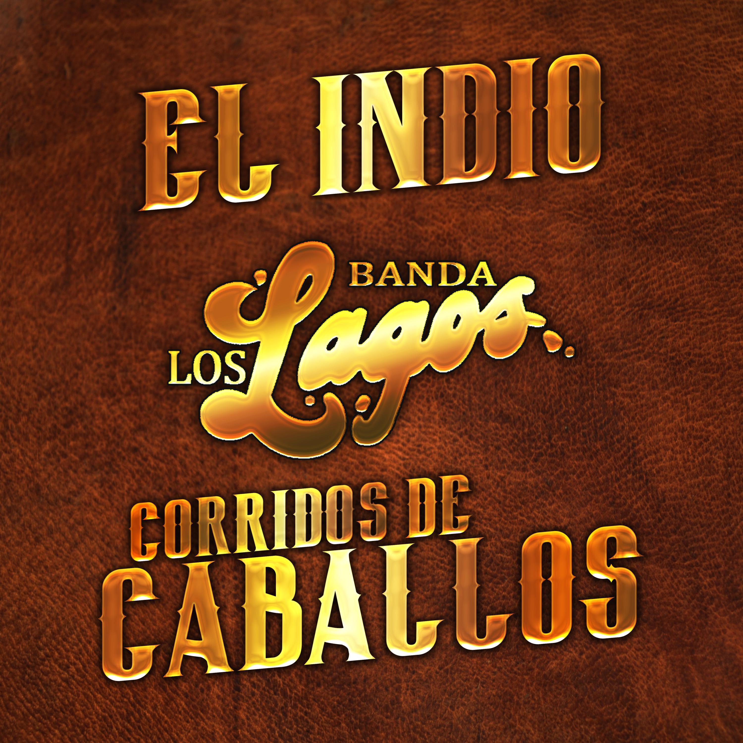 Релиз El Indio Corridos de Caballos