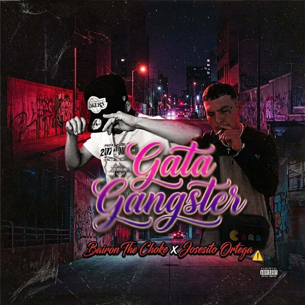 Релиз Gata Ganster