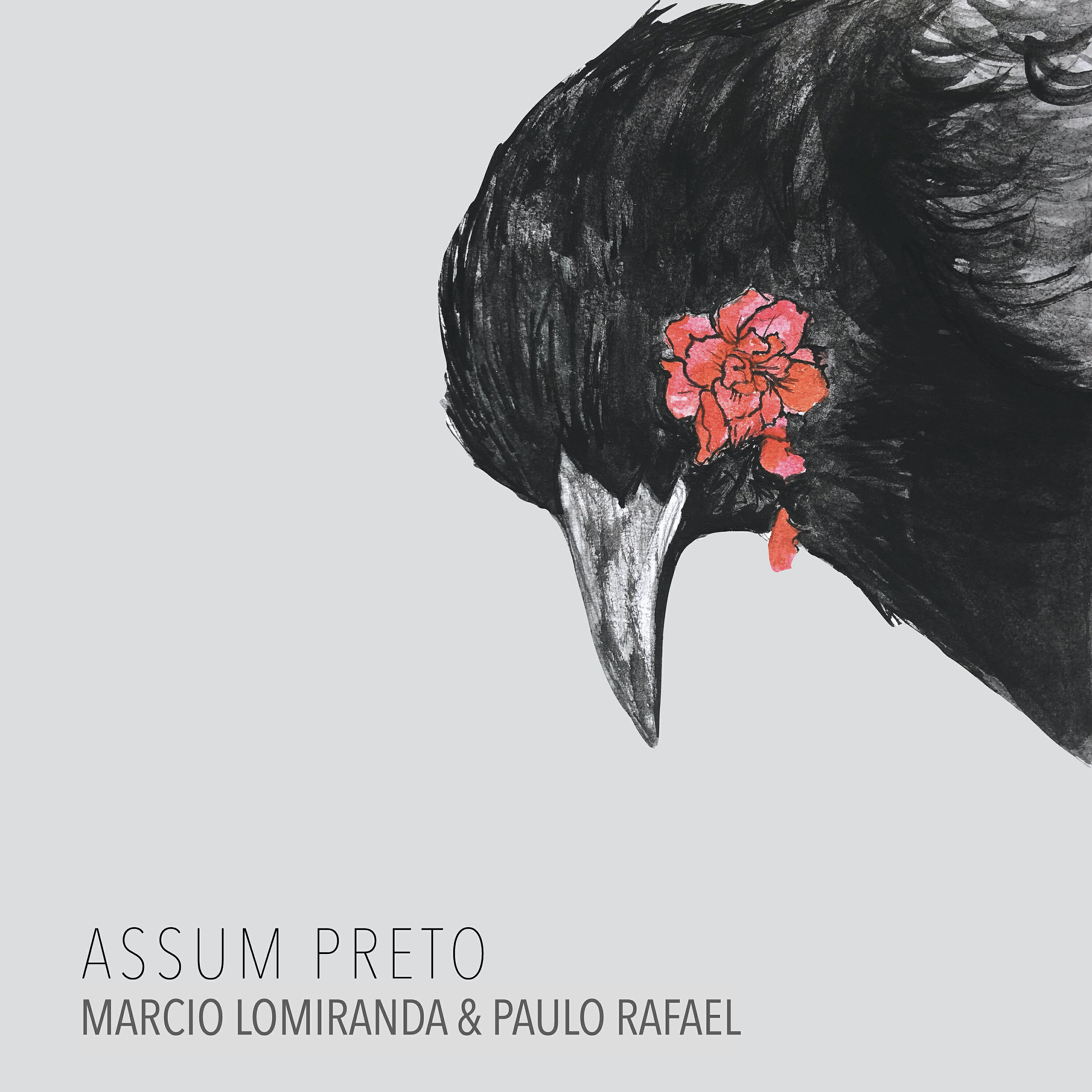 Релиз Assum Preto