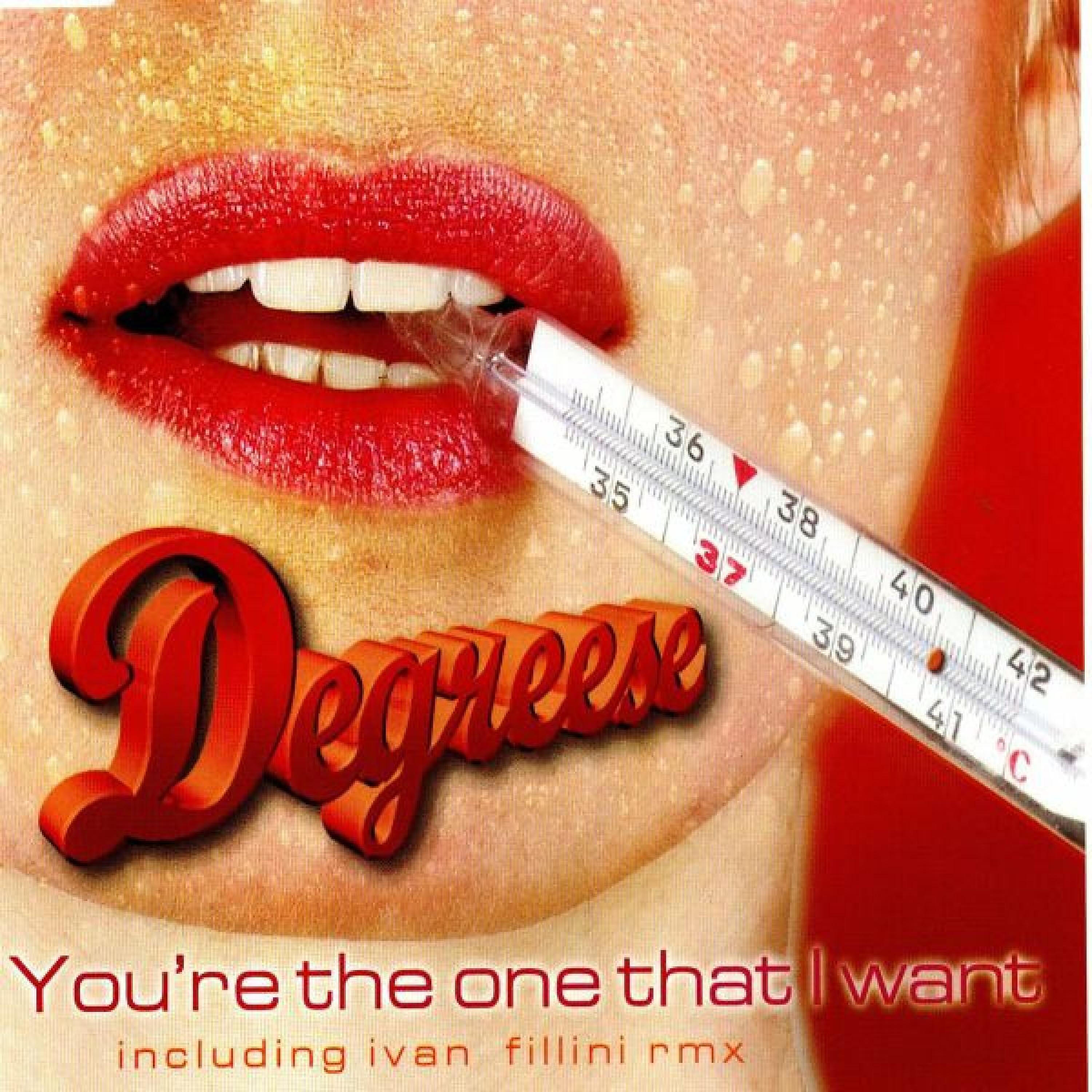 Релиз Youre the One That I Want