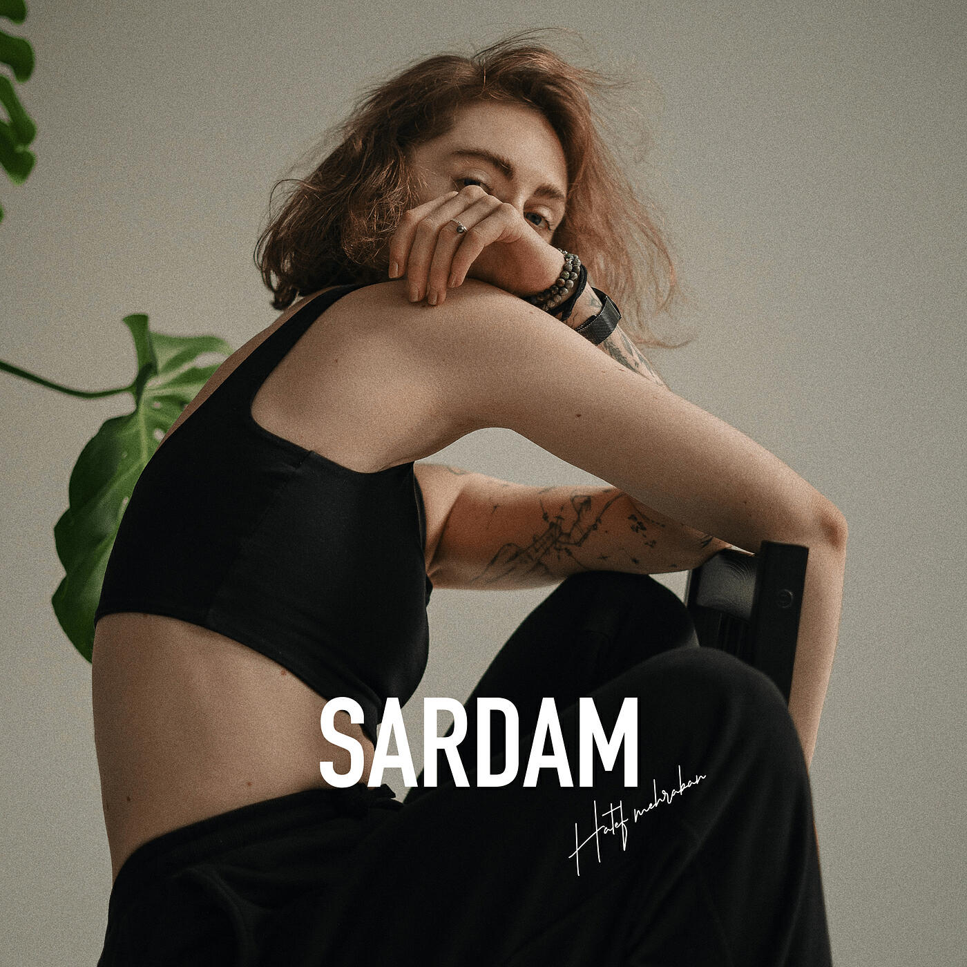 Релиз Sardam