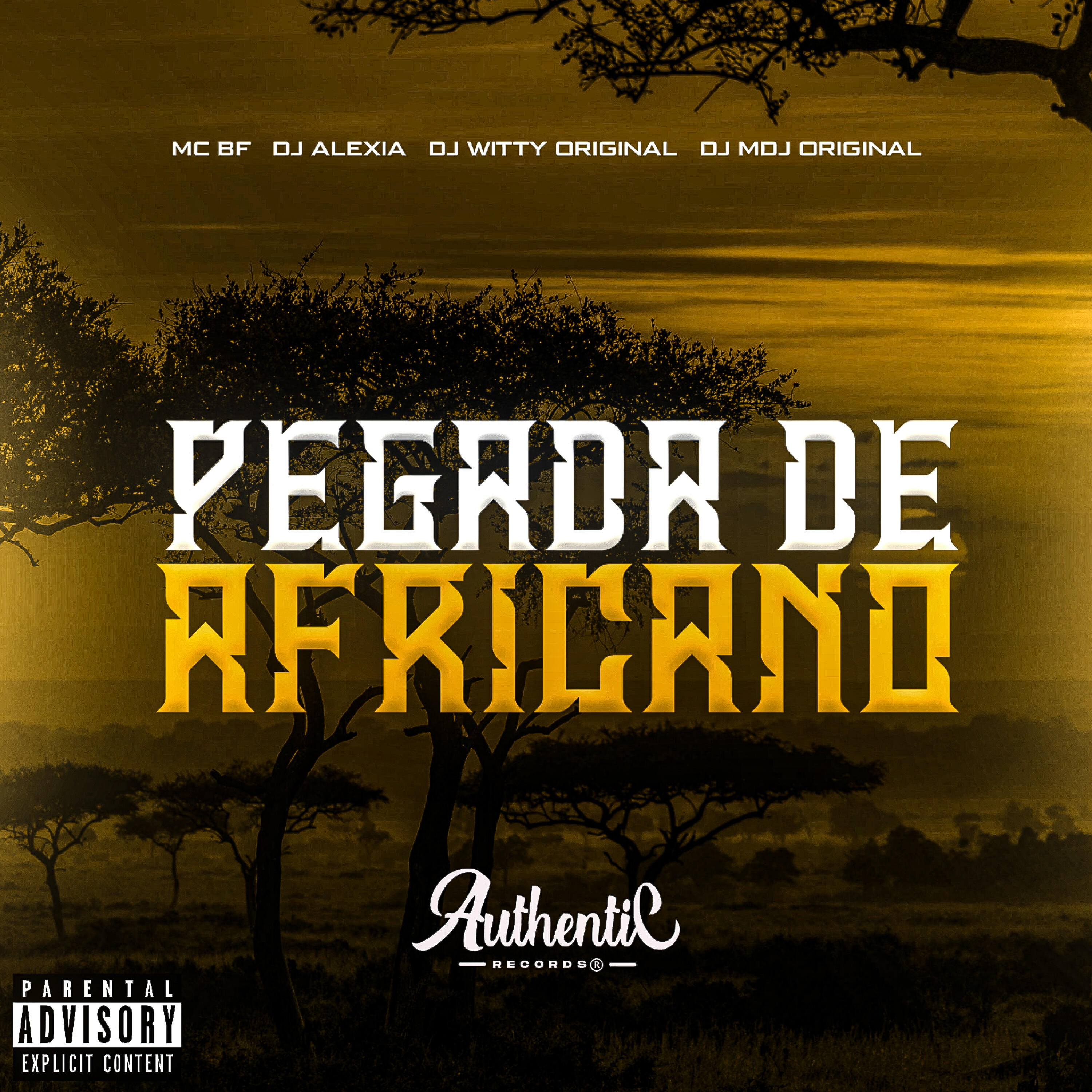 Постер альбома Pegada de Africano