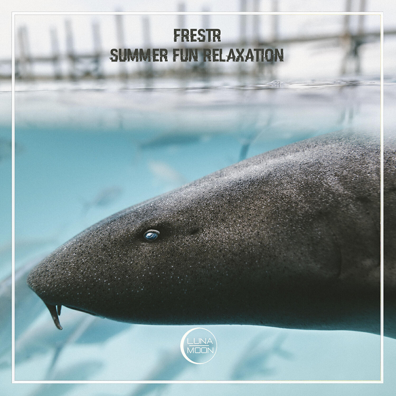 Релиз Summer Fun Relaxation