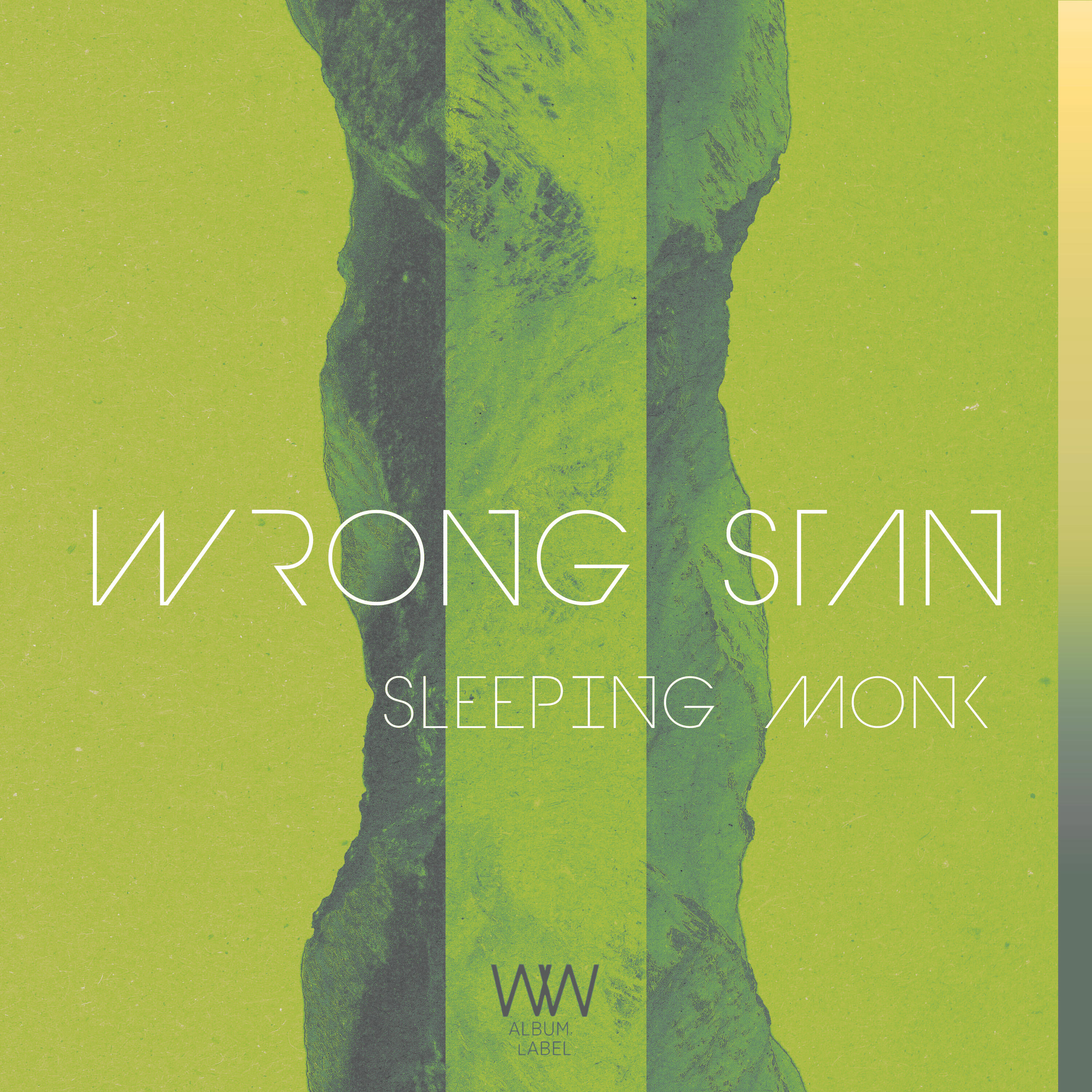 Wrong Stan