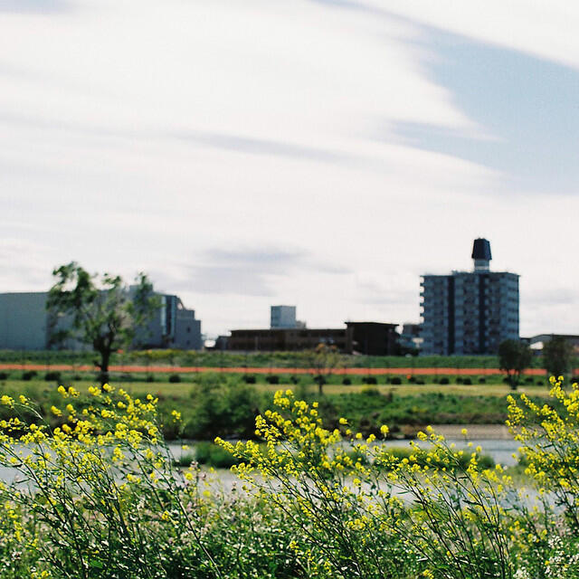 Релиз Cycling with the Permanent Green