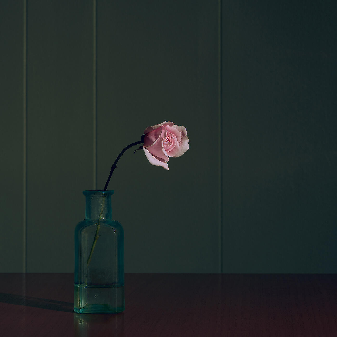 Релиз Don't Carry Me