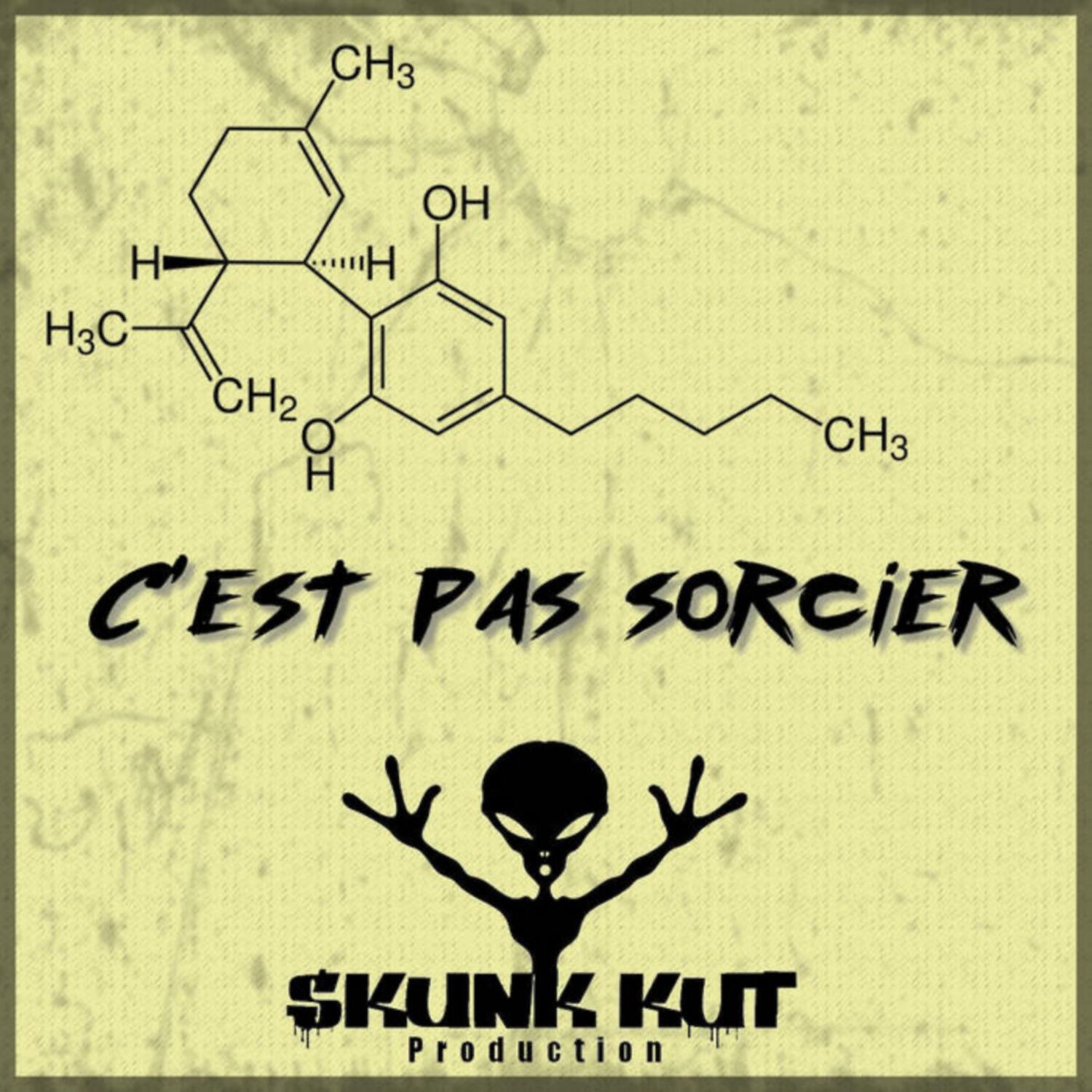 Релиз C'est pas sorcier