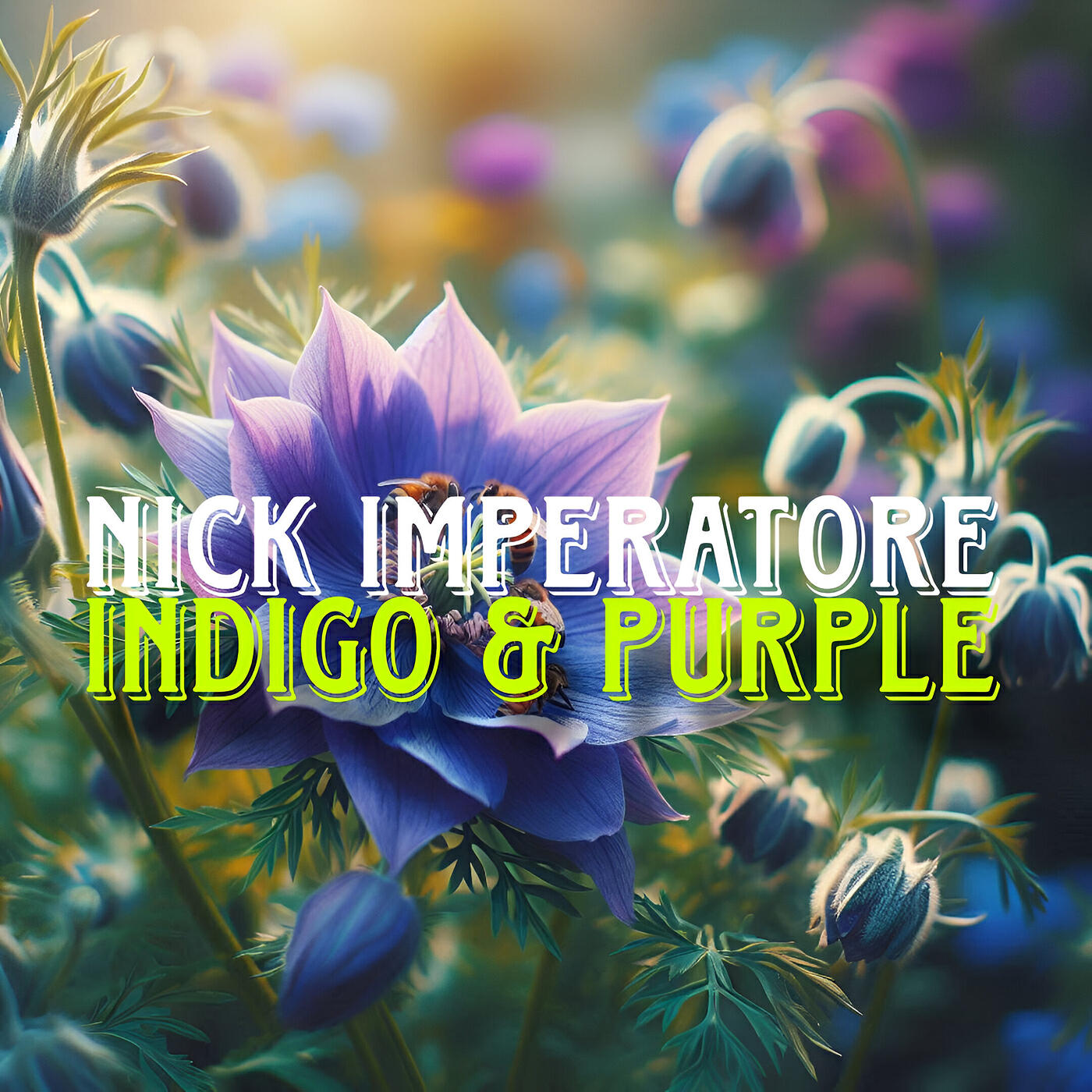 Nick Imperatore