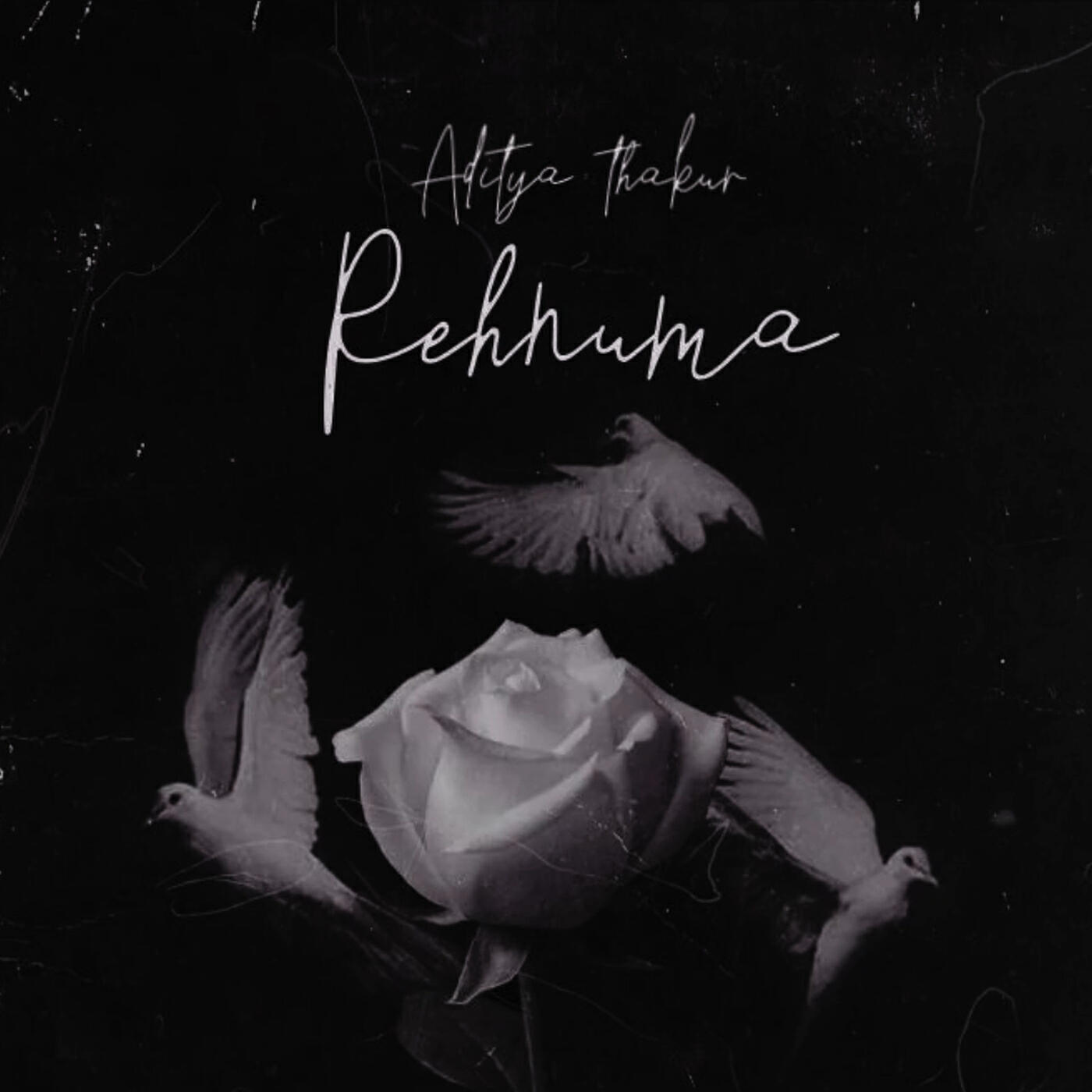 Релиз Rehnuma