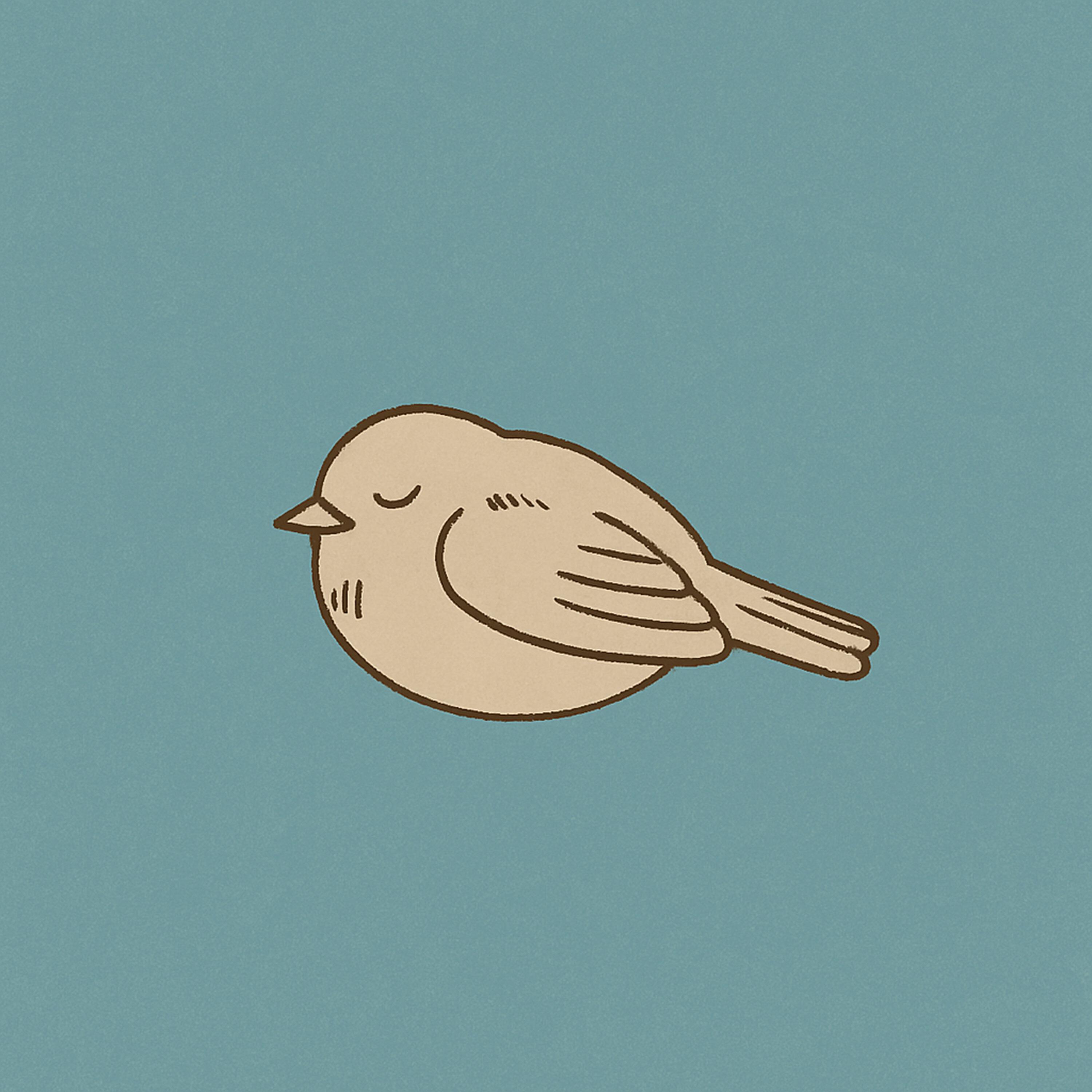 Релиз Birds Love Around