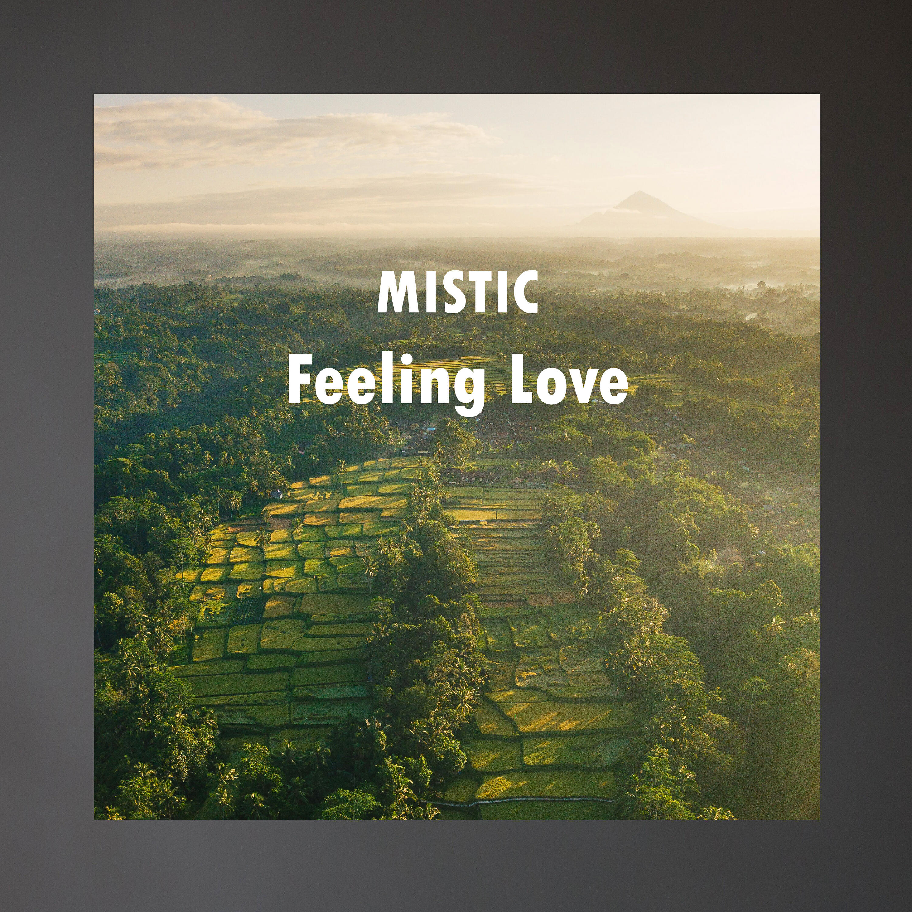 Релиз Feeling Love
