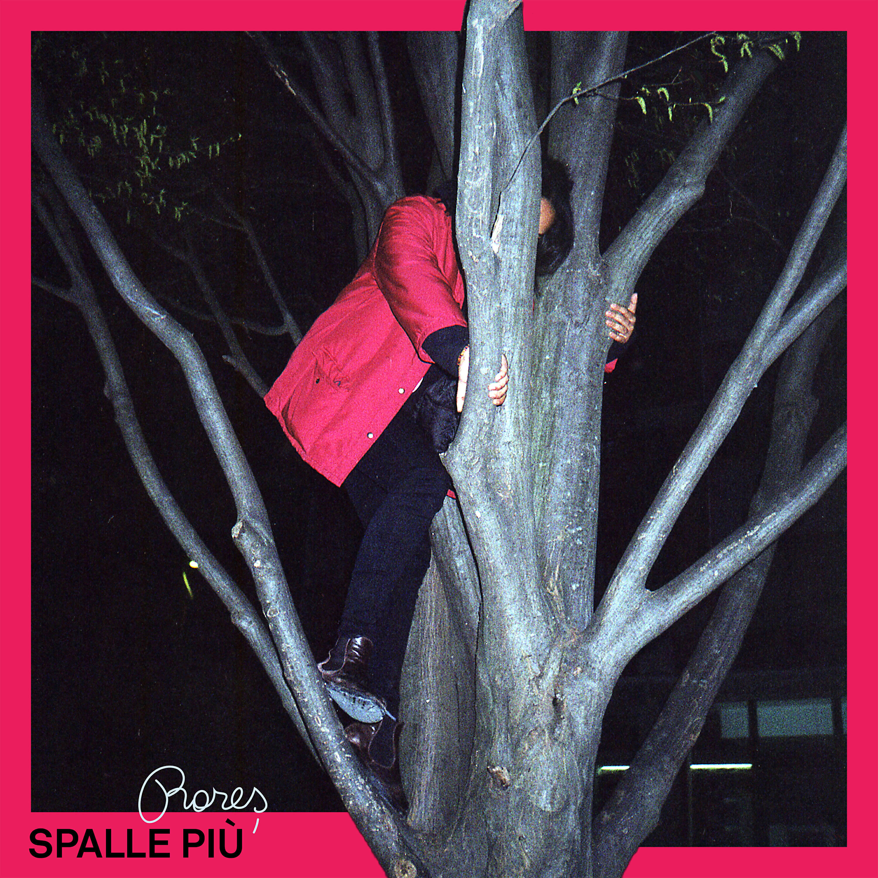 Релиз Spalle più