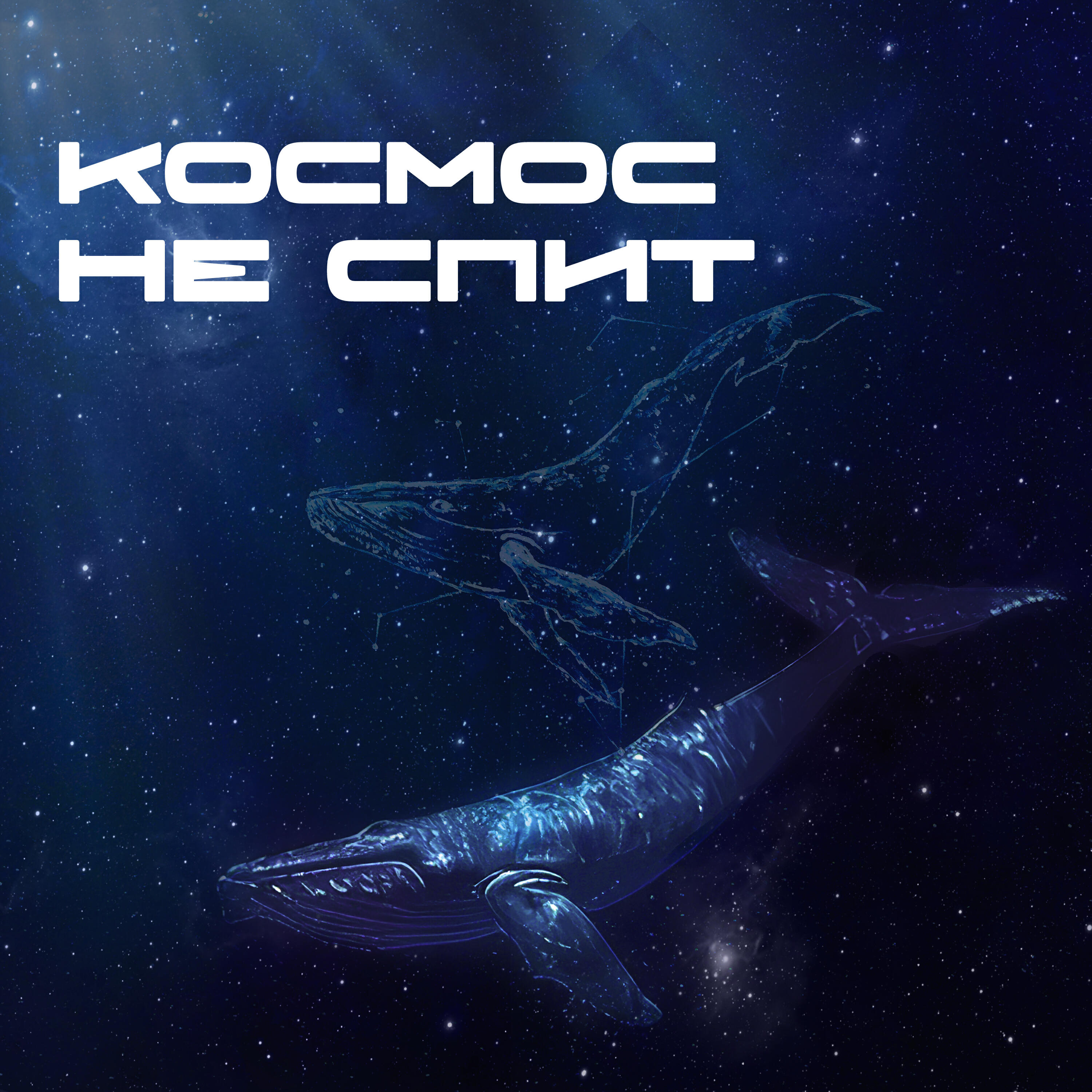 Постер альбома Космос не спит