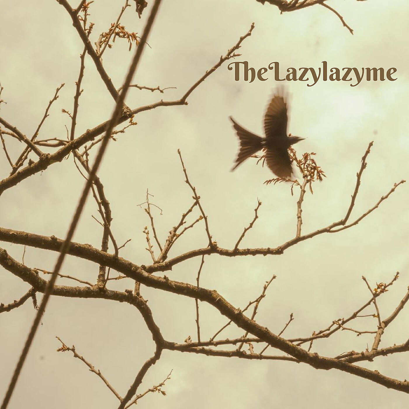 Релиз TheLazylazyme