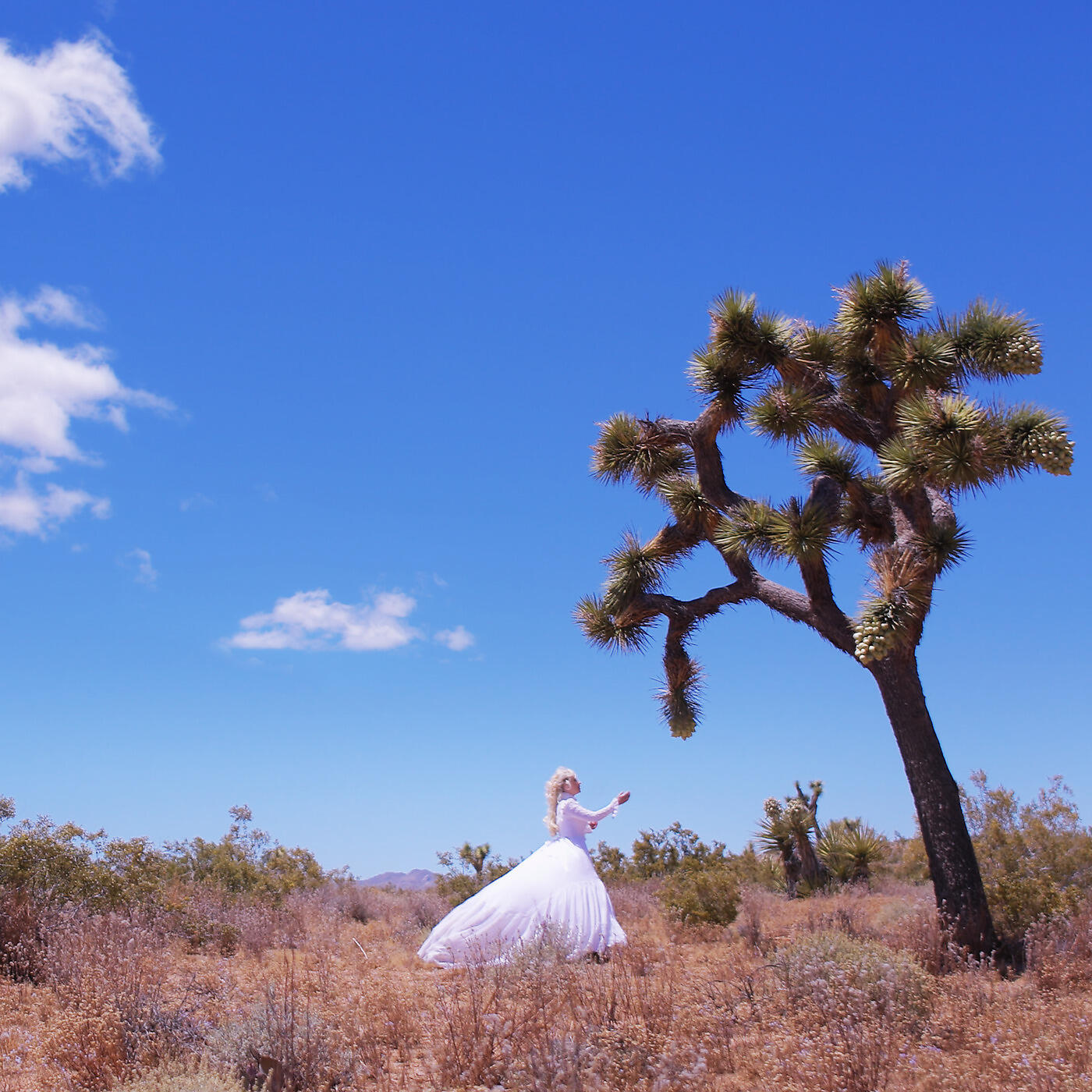 Релиз Joshua Tree