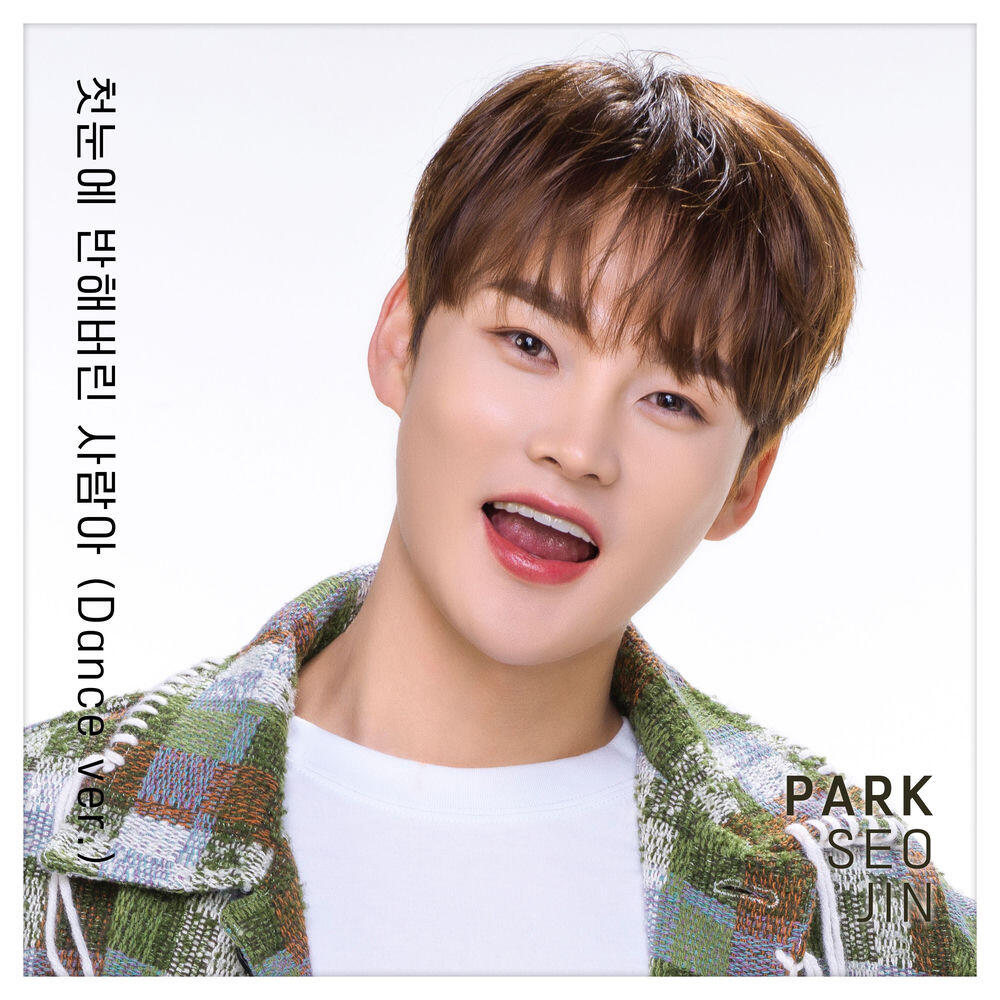 Seo Jin Park
