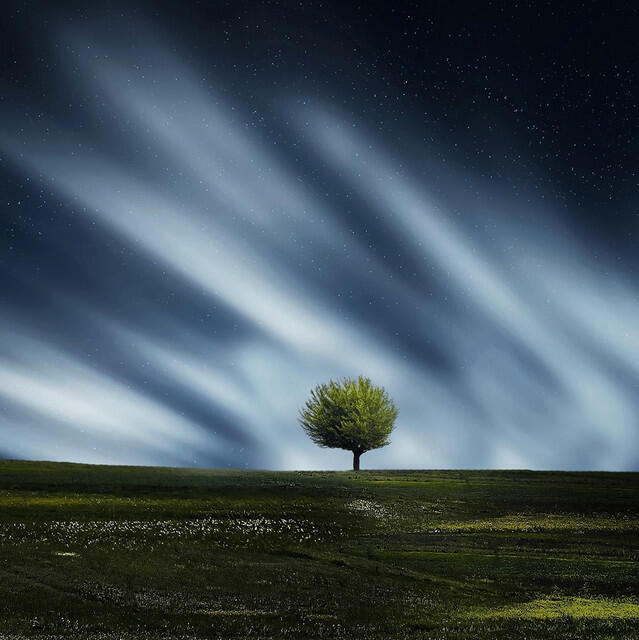 Релиз 25 Deeply Soothing Tracks for Stress and Anxiety Relief