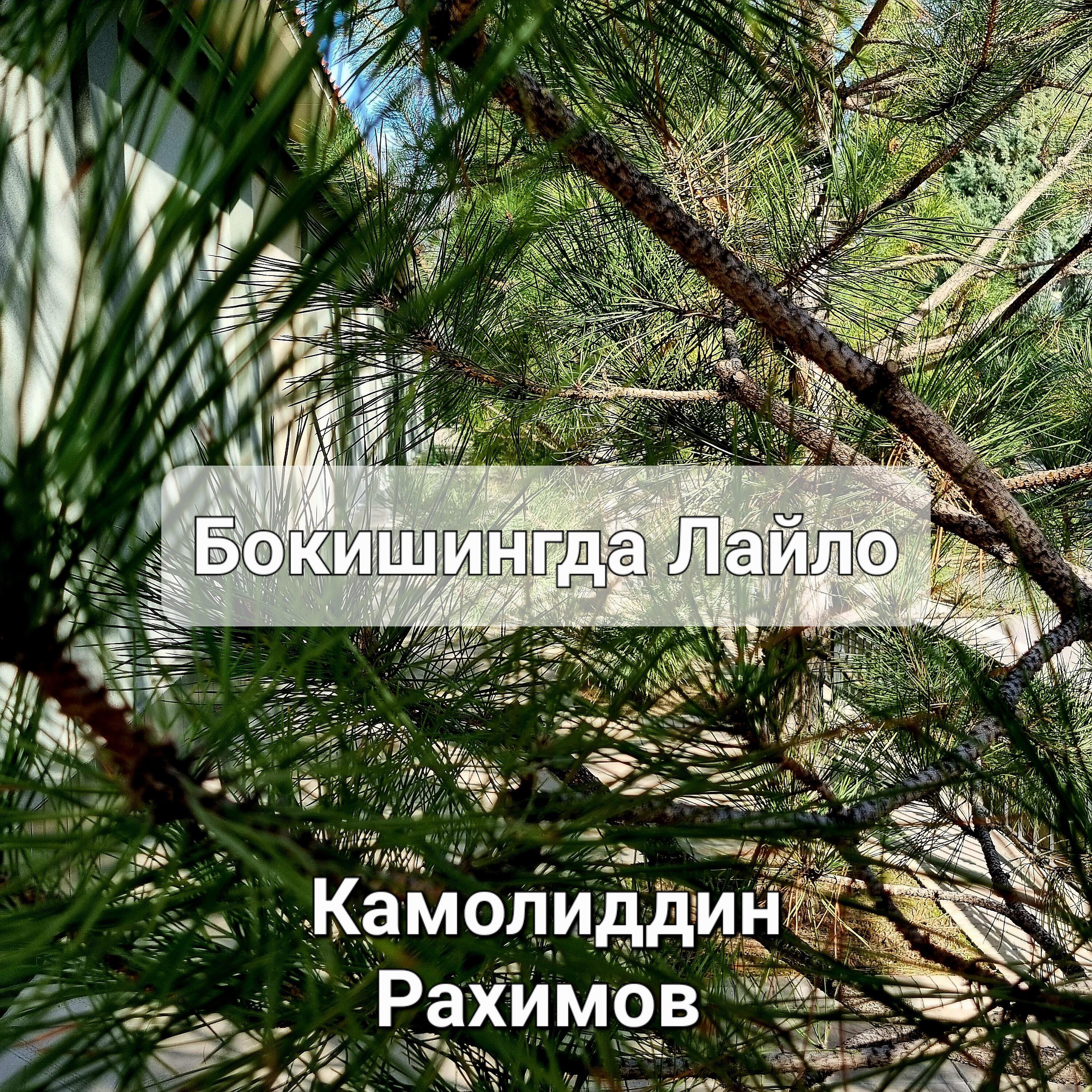 Релиз Бокишингда лайло