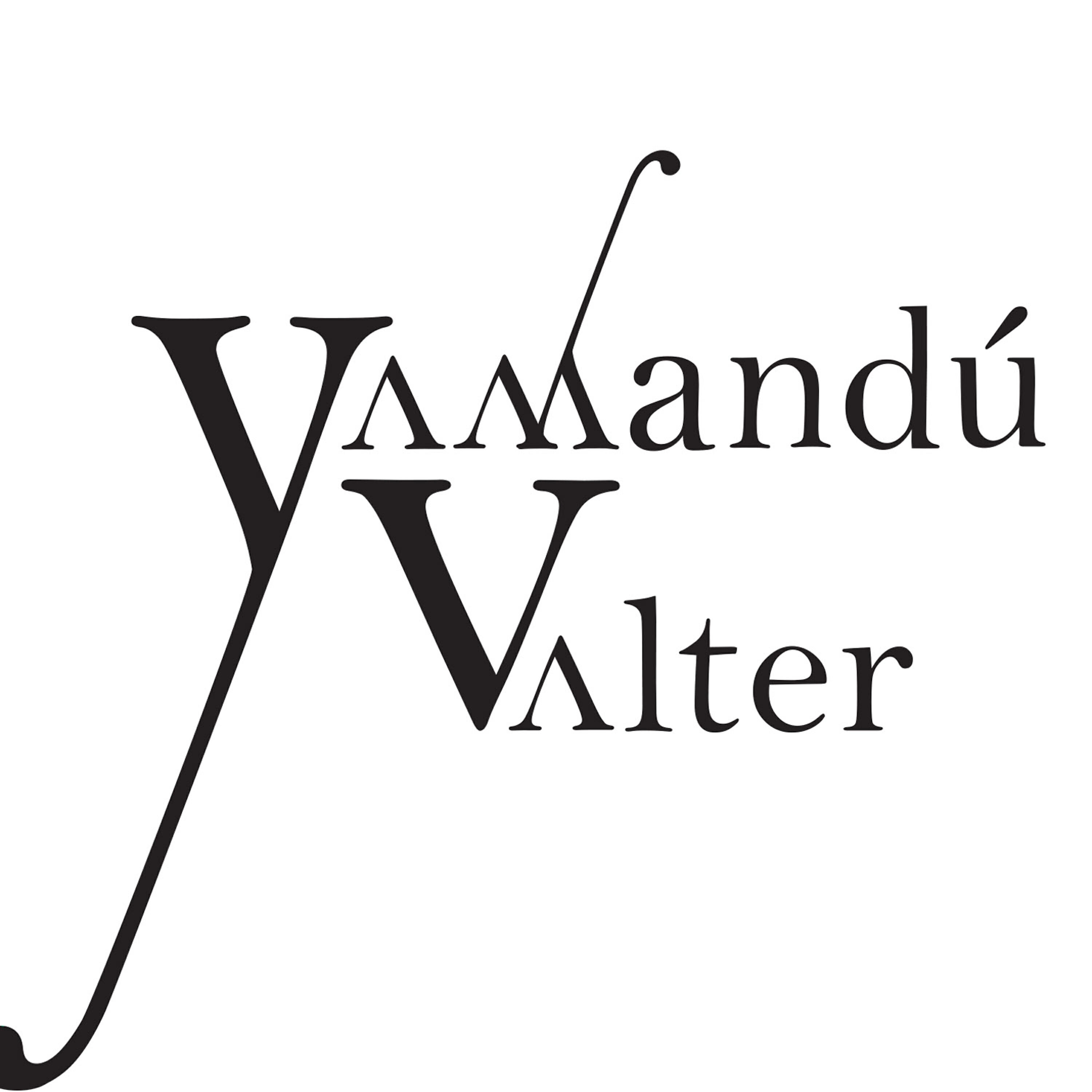 Релиз Yamandú Valter