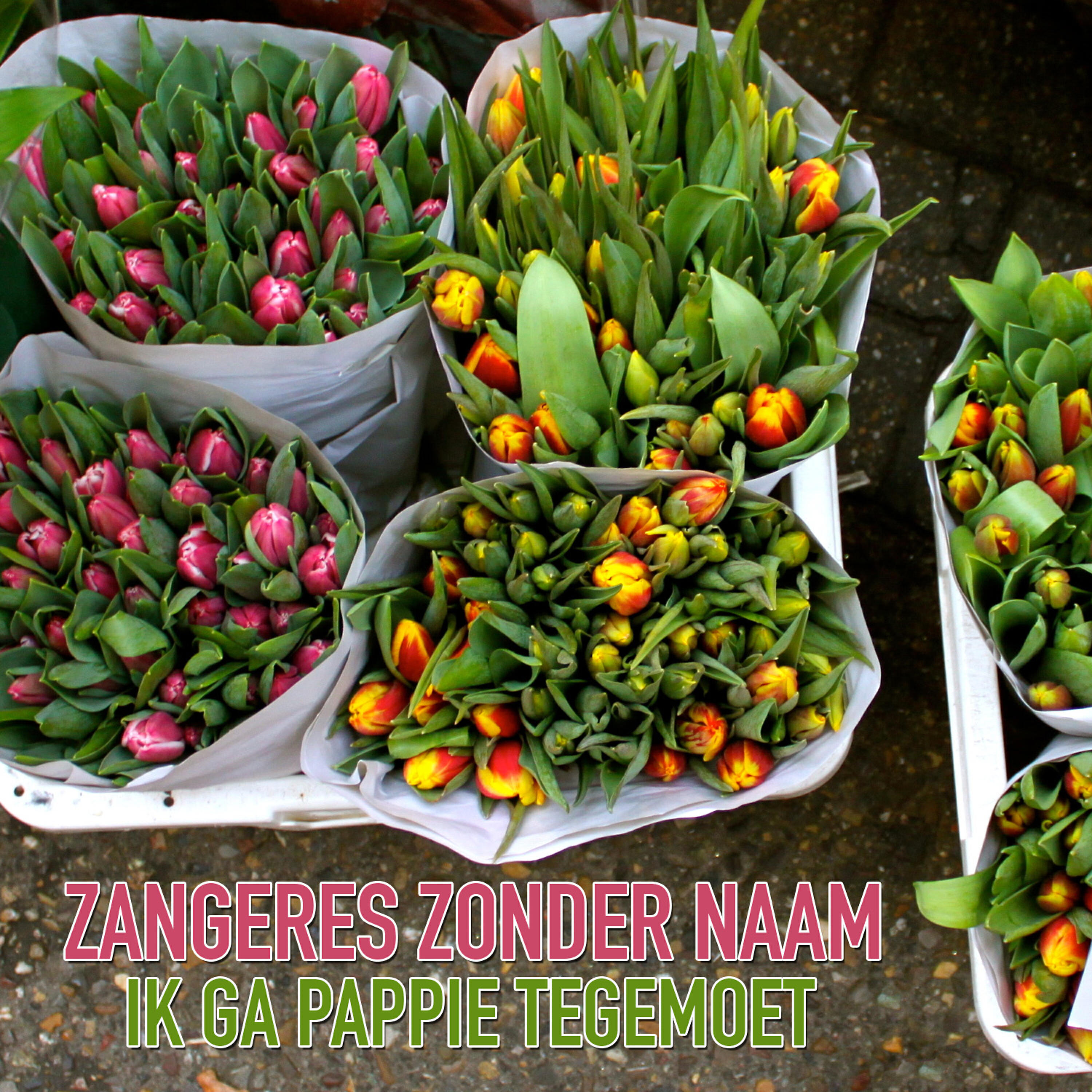 Релиз Ik Ga Pappie Tegemoet