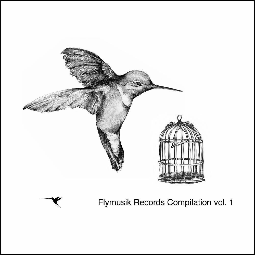 Релиз Flymusik Records Compilation, Vol. 1